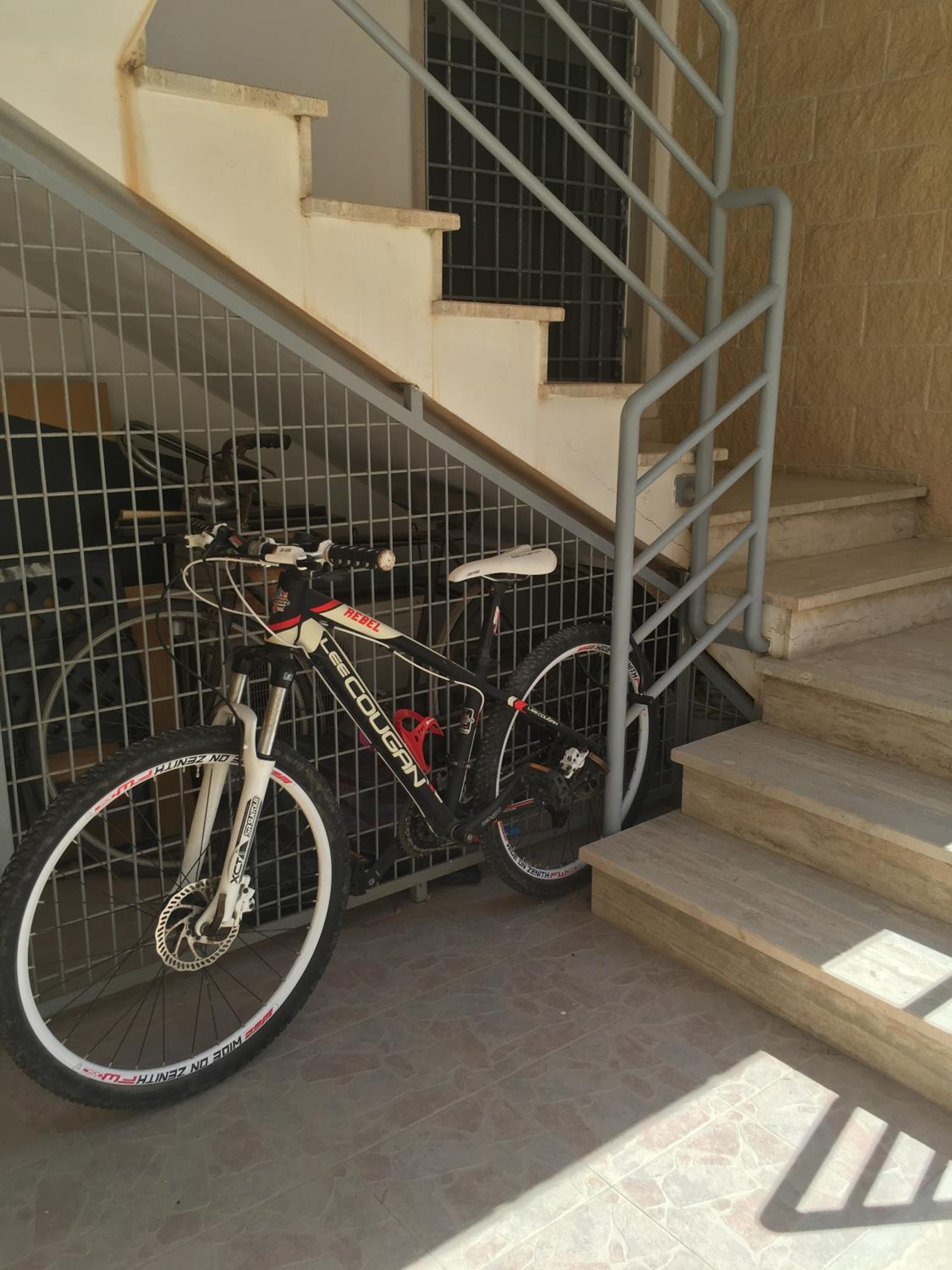Photo 19
