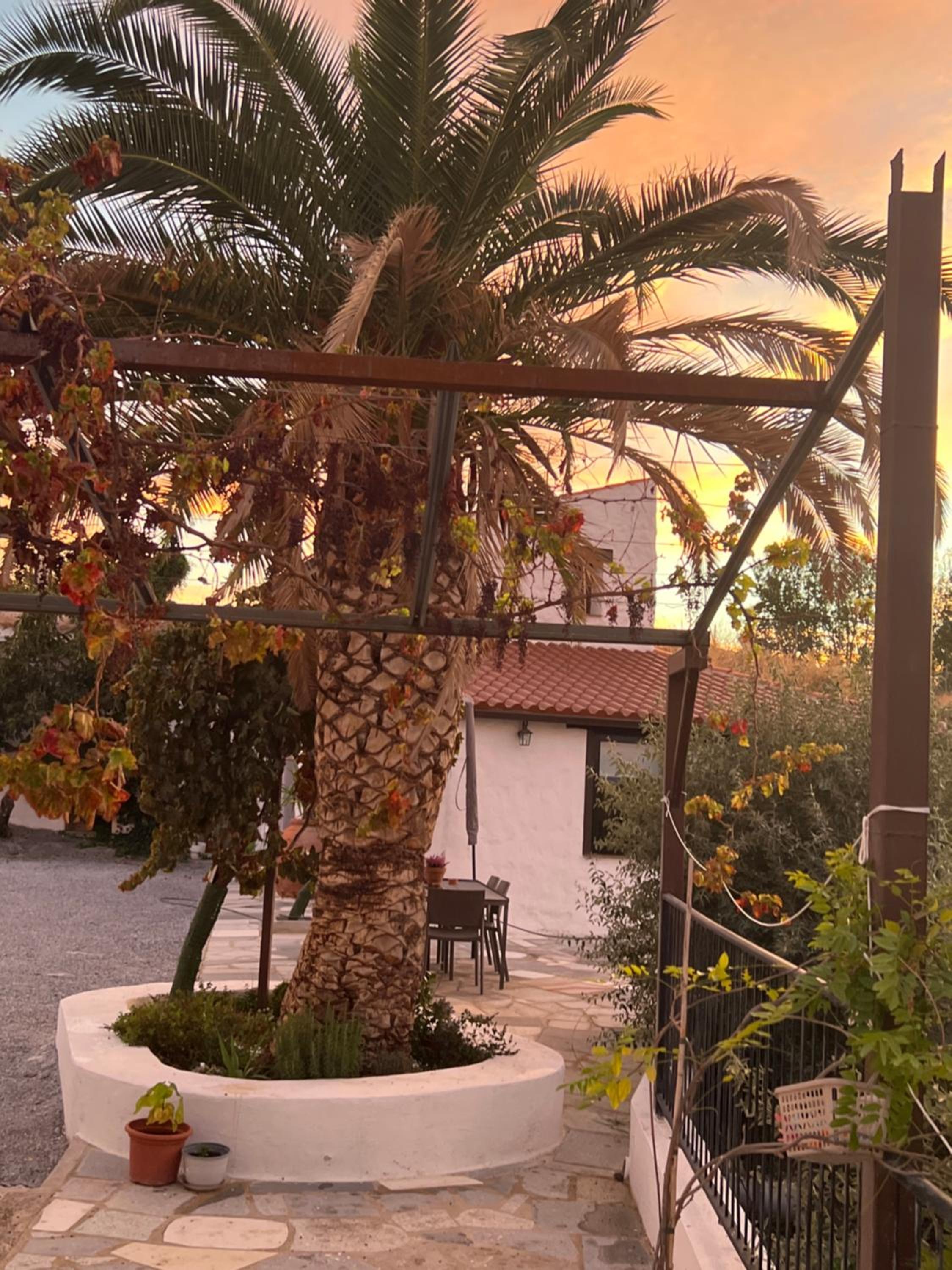 Casa -Cueva Paraje De Los Majuelos