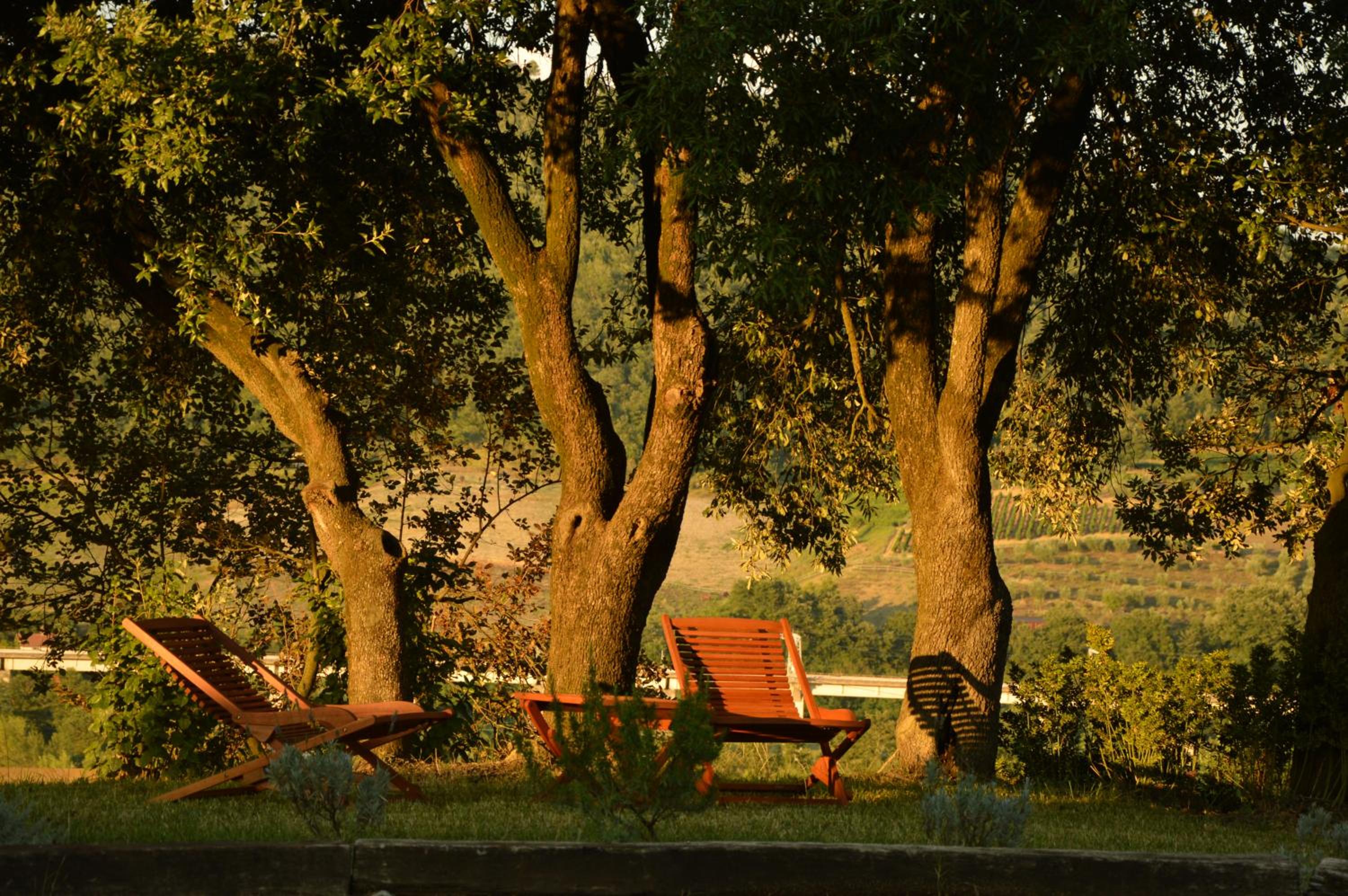 Agriturismo Riparossa