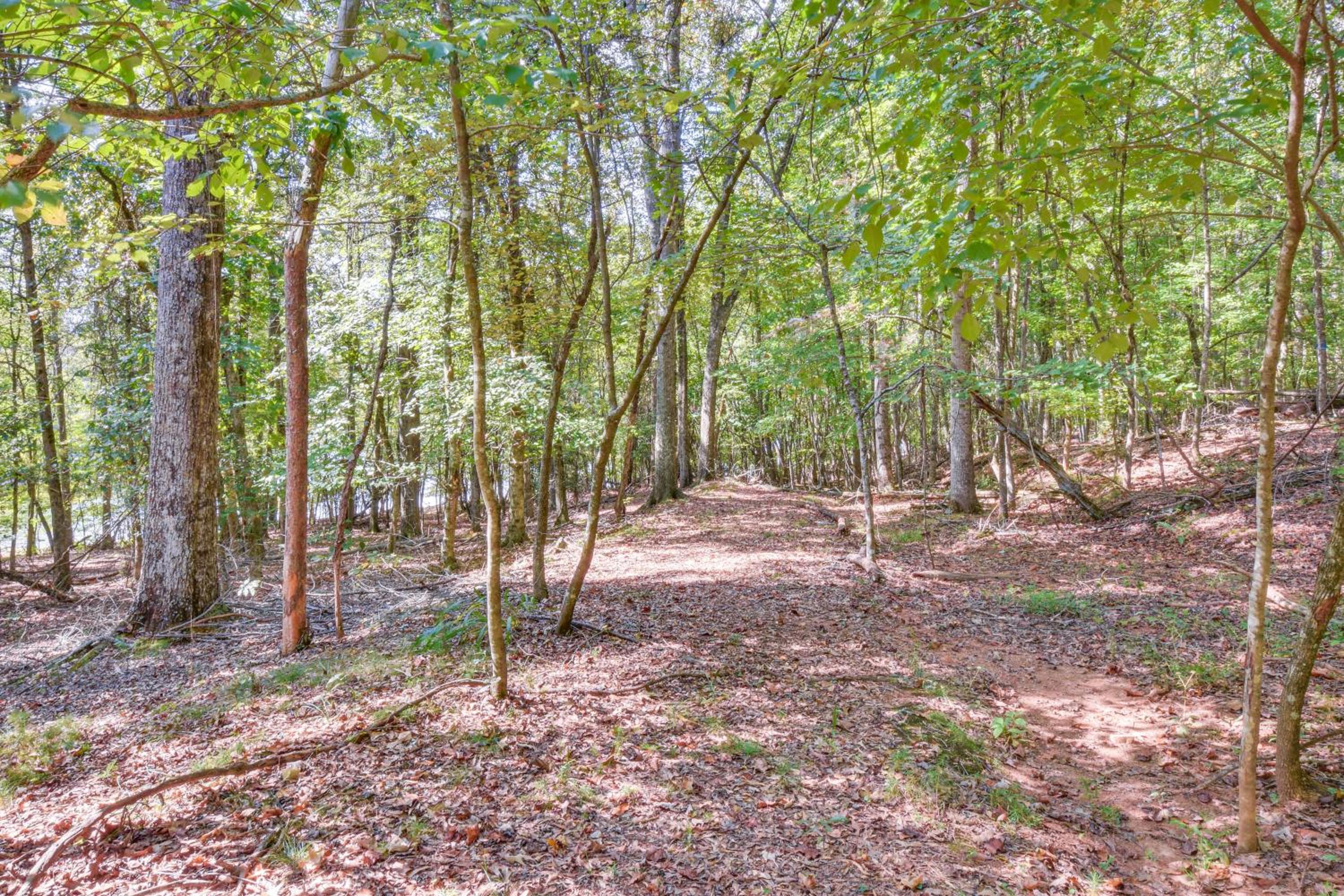 Secluded Lake Lanier Cabin with Game Area
