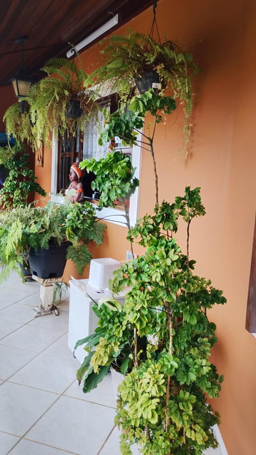 Casa Aconchegante Massaguaçu Cocanha Caraguatatuba