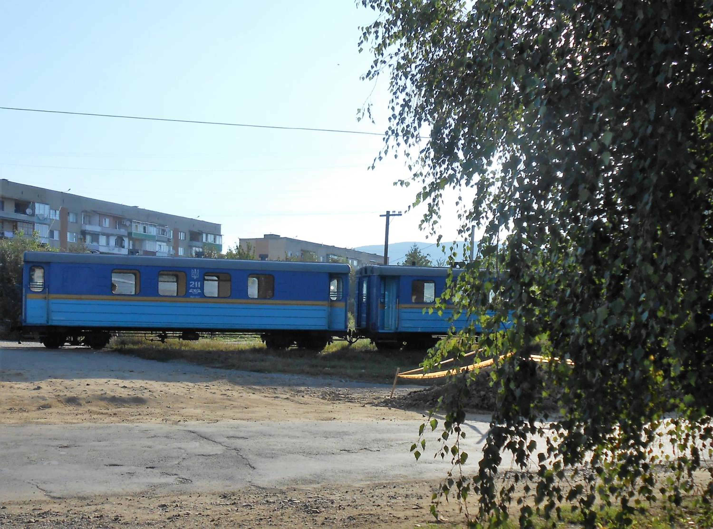 Photo 41