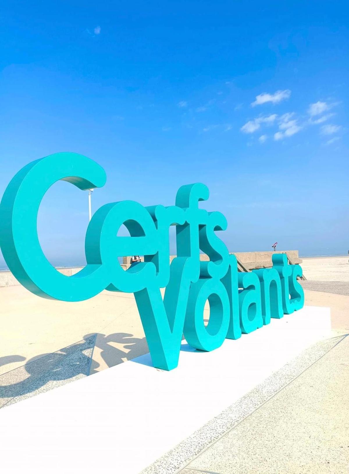 Les Terrasses du Phare, vue mer et accès direct plage, garage, accès PMR
