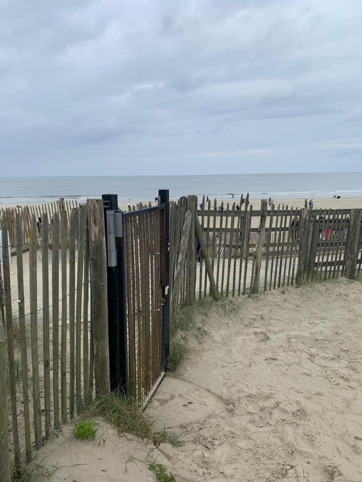 Les Terrasses du Phare, vue mer et accès direct plage, garage, accès PMR