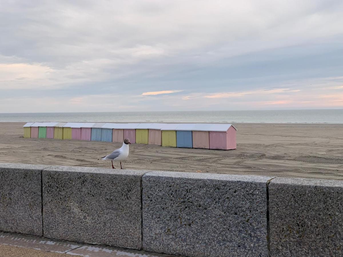 Les Terrasses du Phare, vue mer et accès direct plage, garage, accès PMR