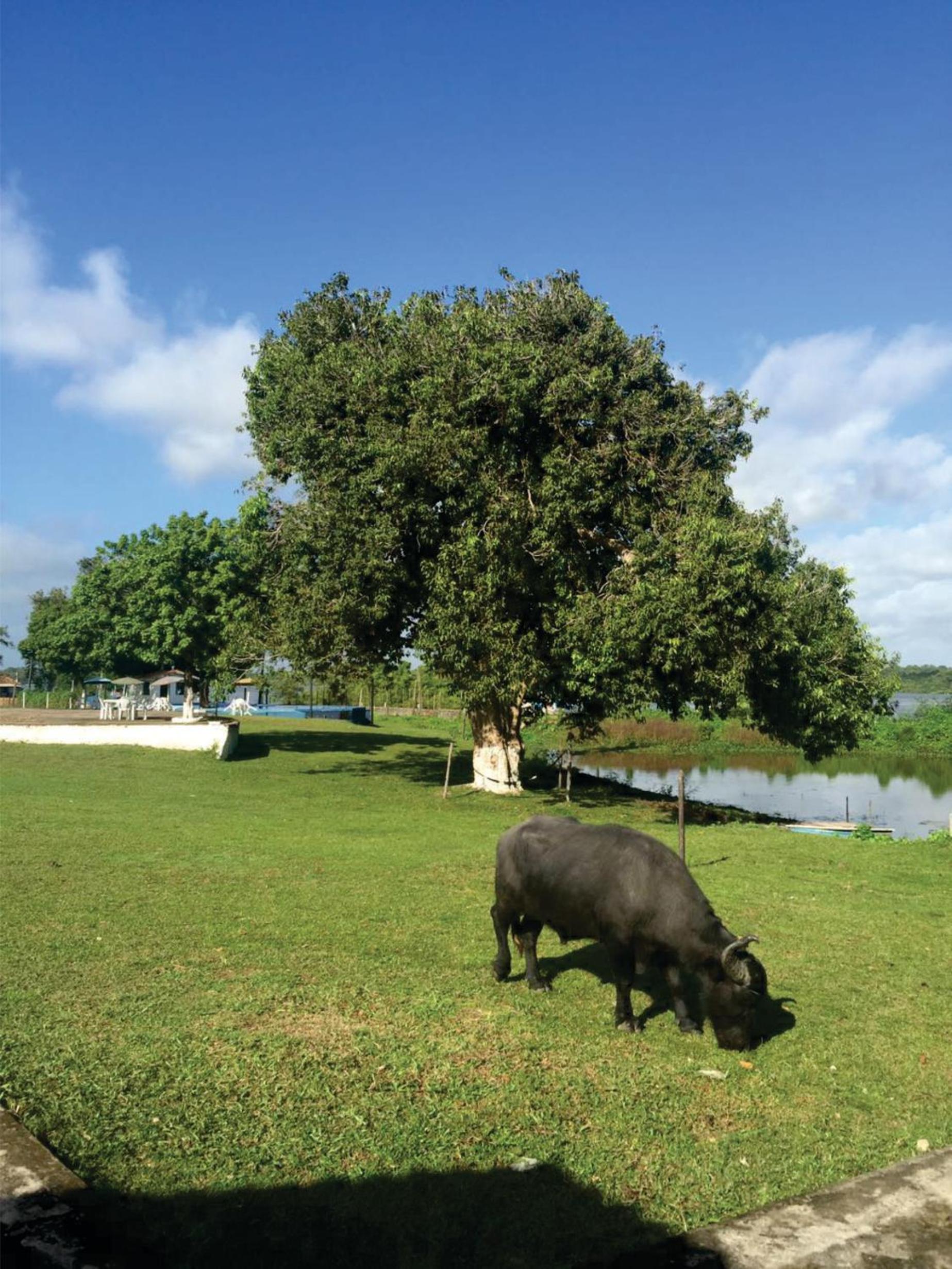 Pousada Marajoara- Hotel Fazenda-Turismo de Aventura