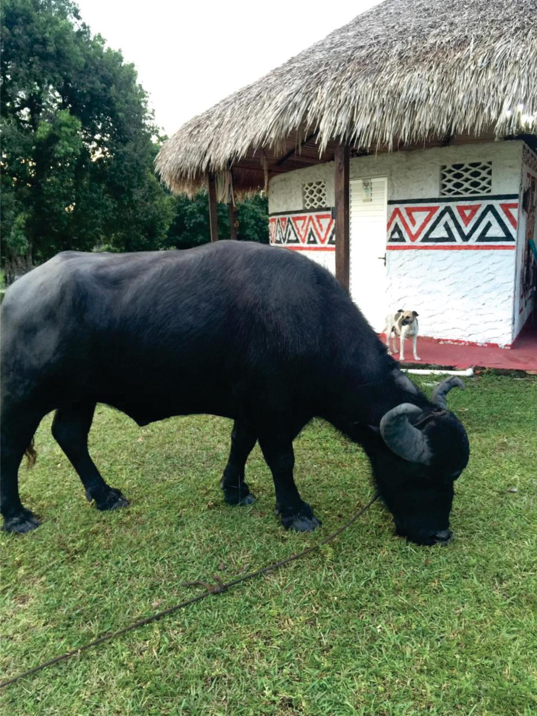 Pousada Marajoara- Hotel Fazenda-Turismo de Aventura