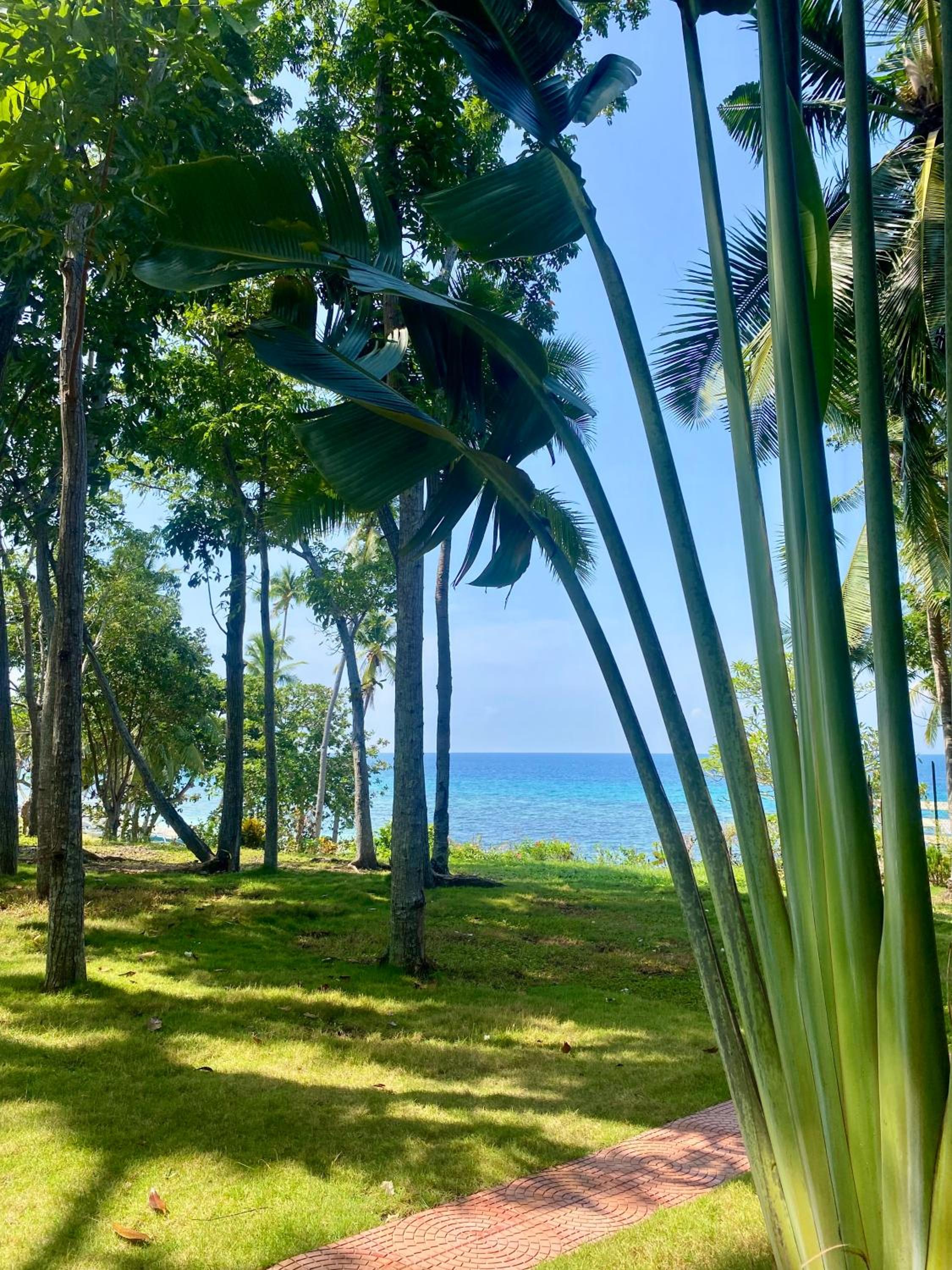 Jako Doma Beachfront Cabana