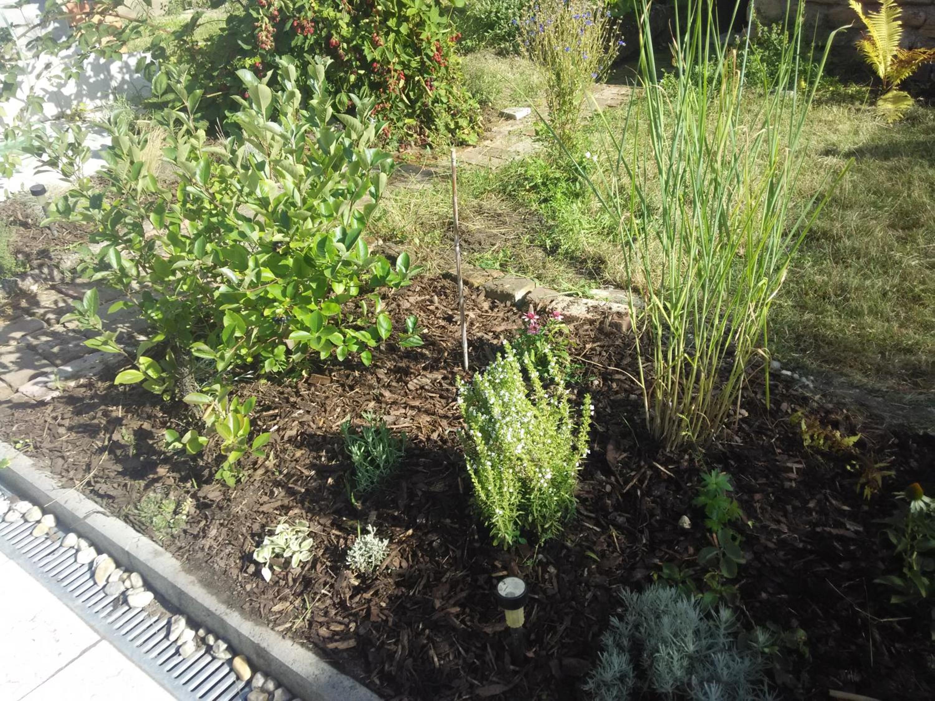Chalupka