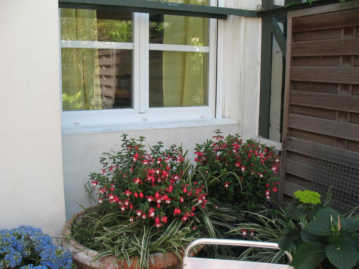 Studio du Lac photo 5