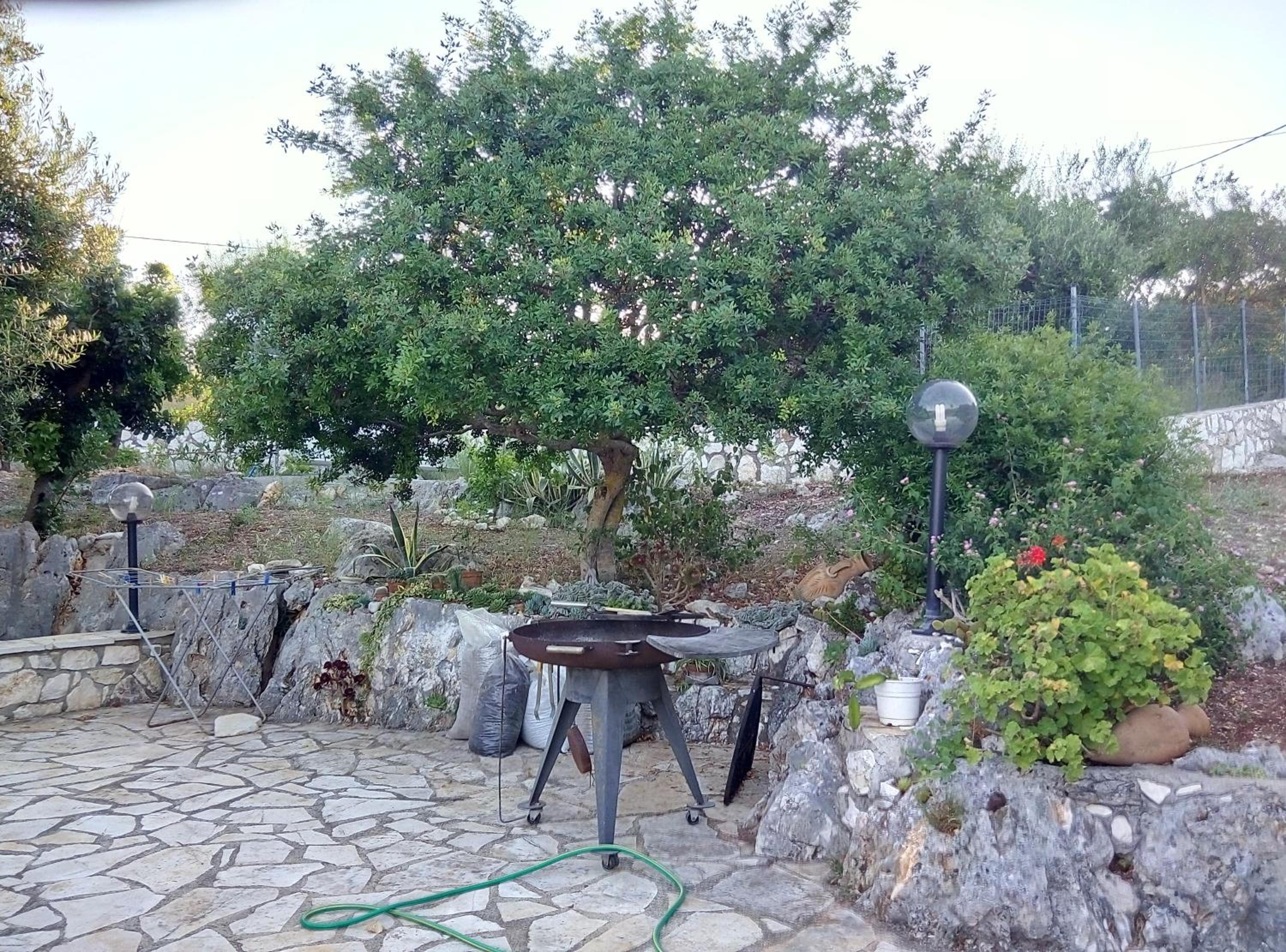 Photo 17