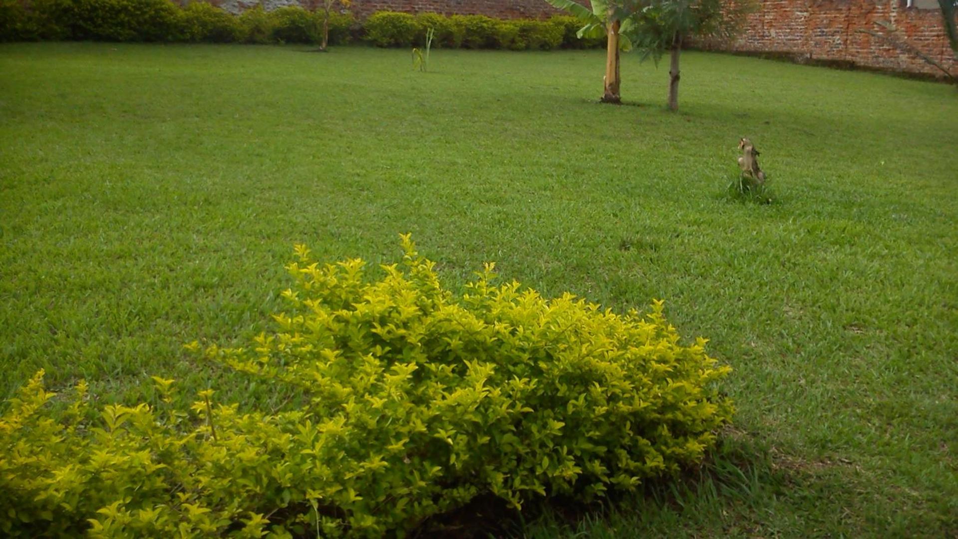 Photo 46