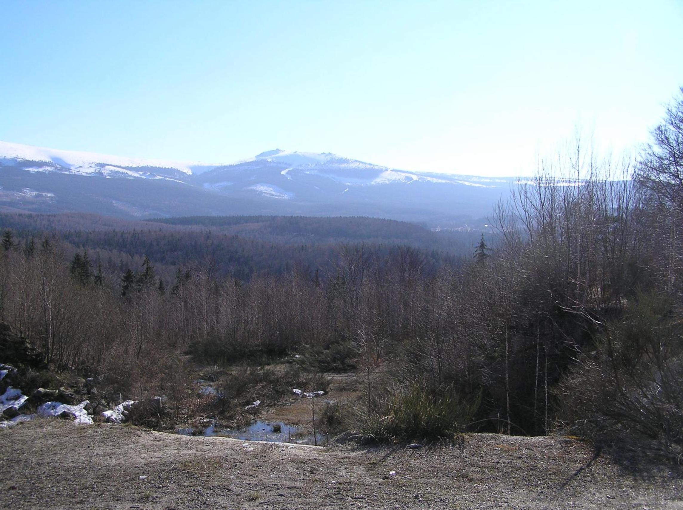 Photo 39