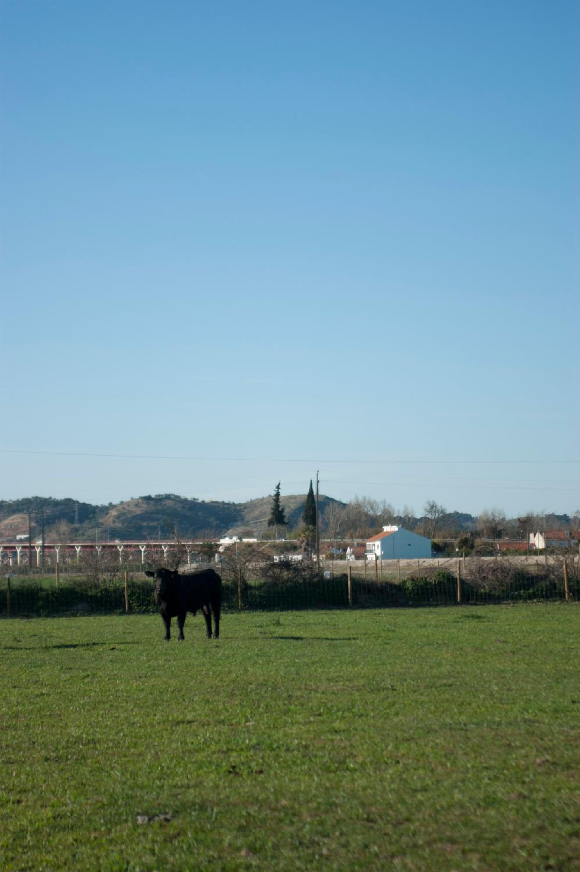 Quinta da Gafaria