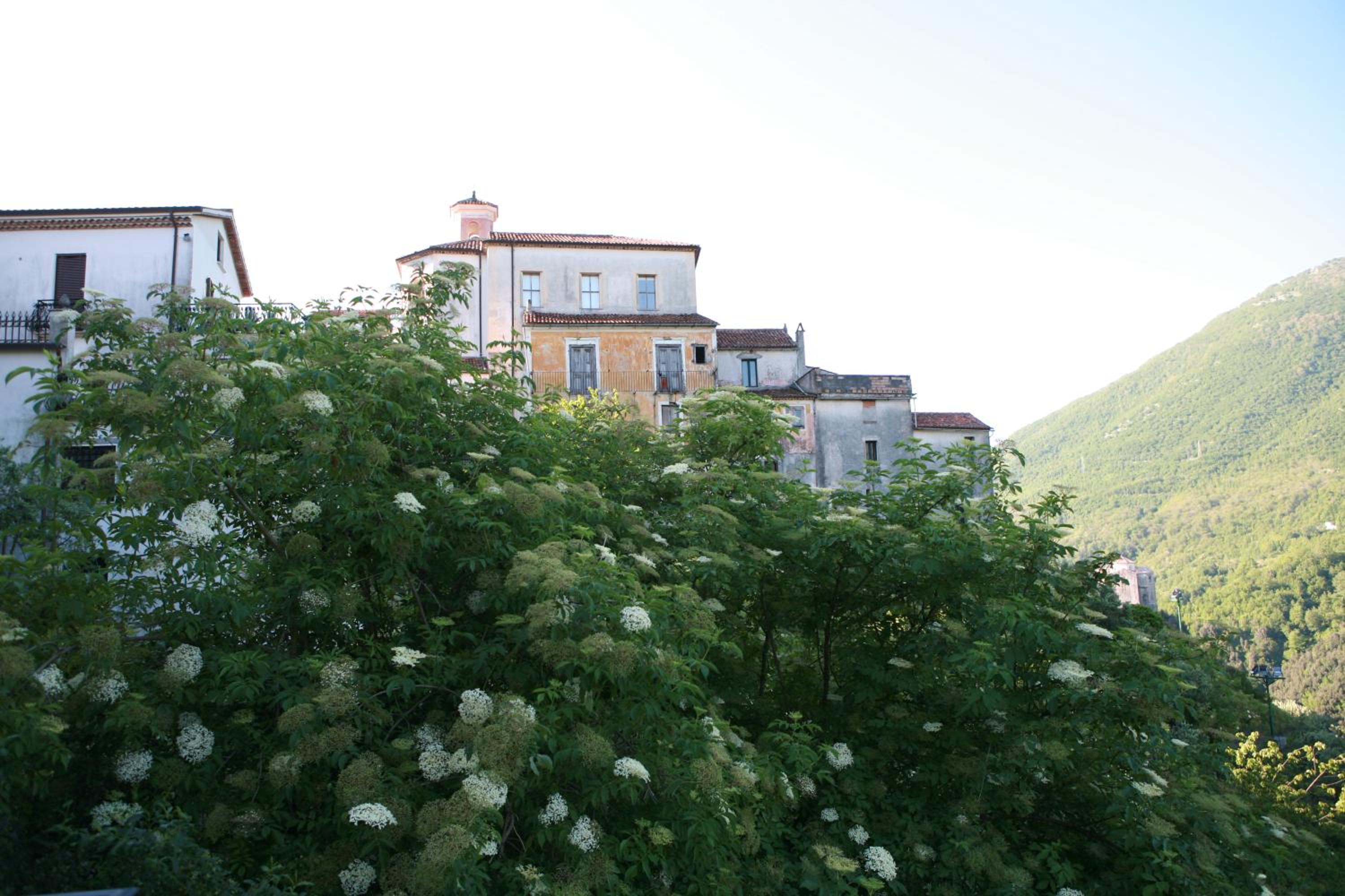 B&B Lo Straniero