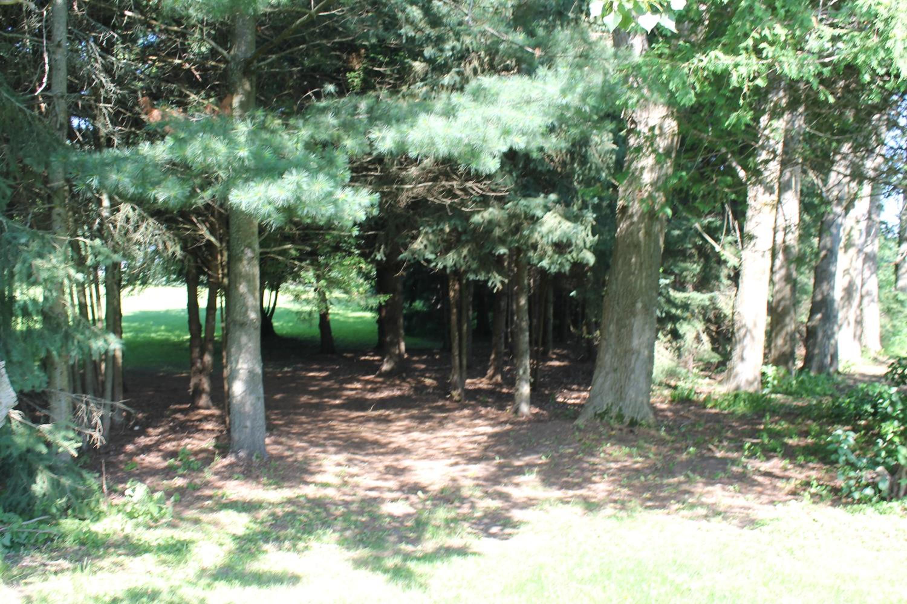 Terrace Green B&B