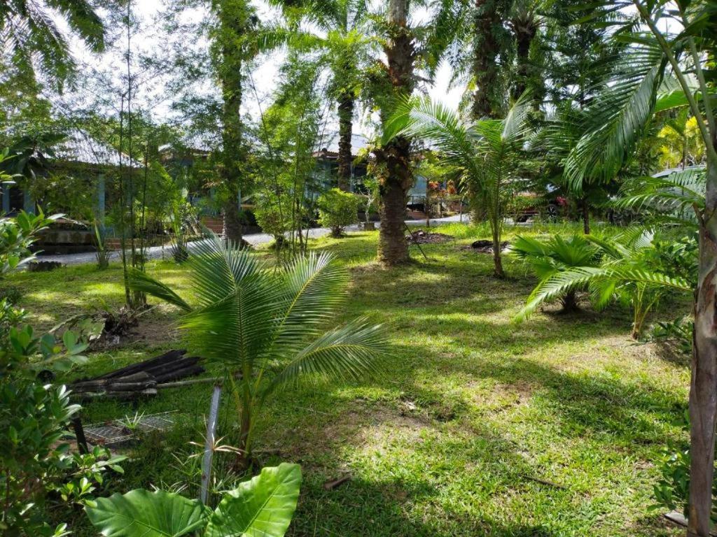Palmthien Pool Villa Aonang