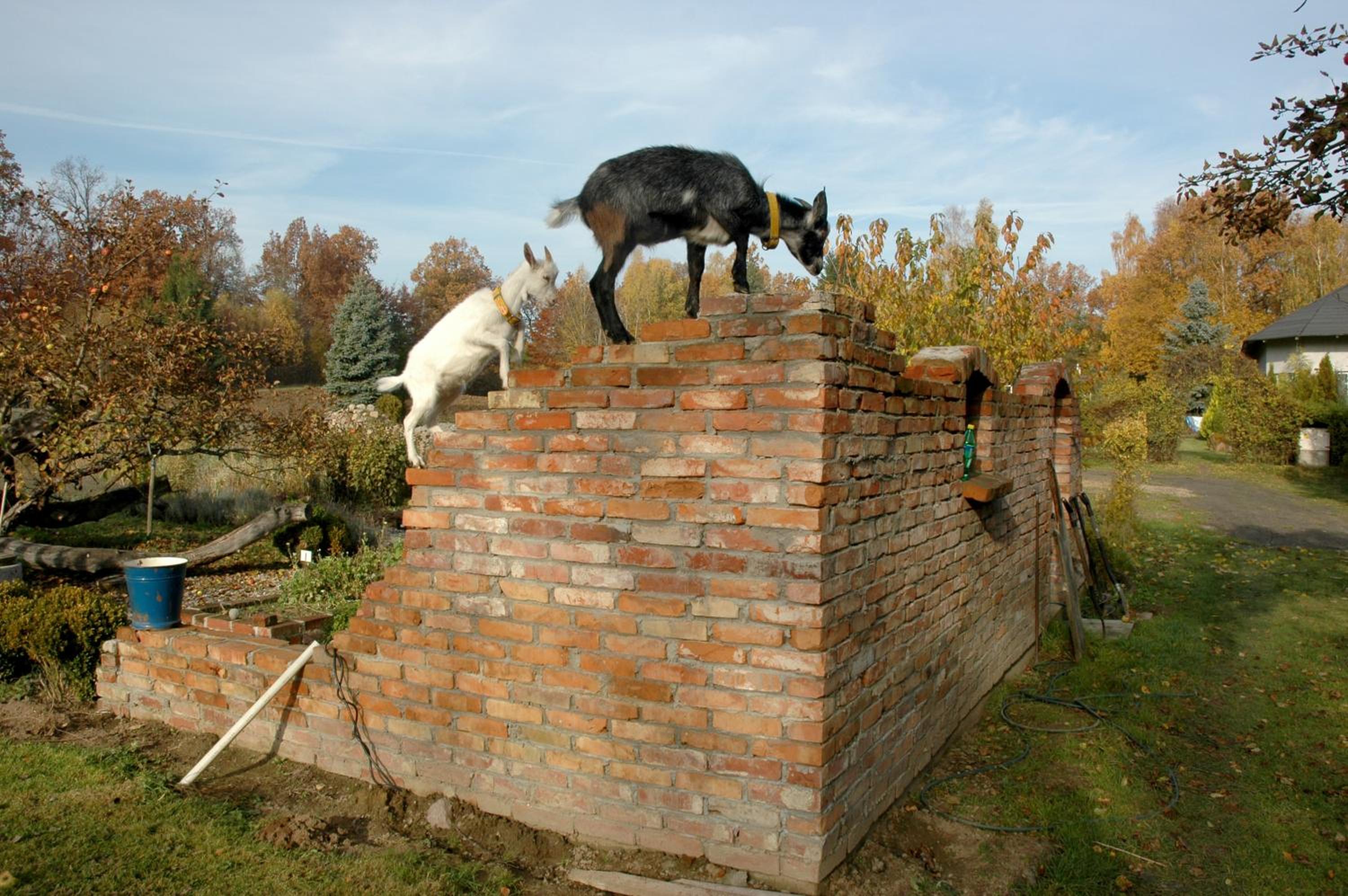 Photo 88
