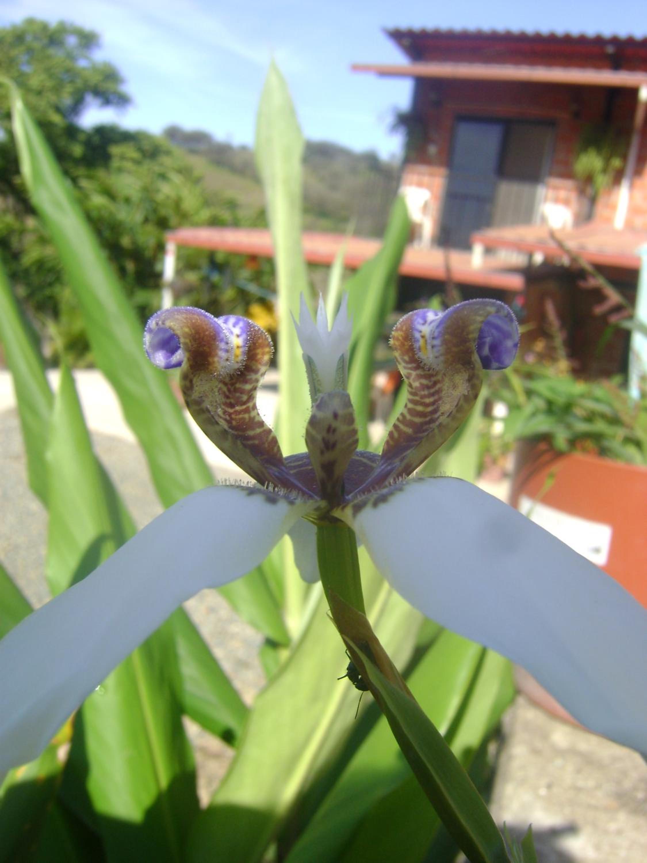 Hosteria Florecer, photo 10