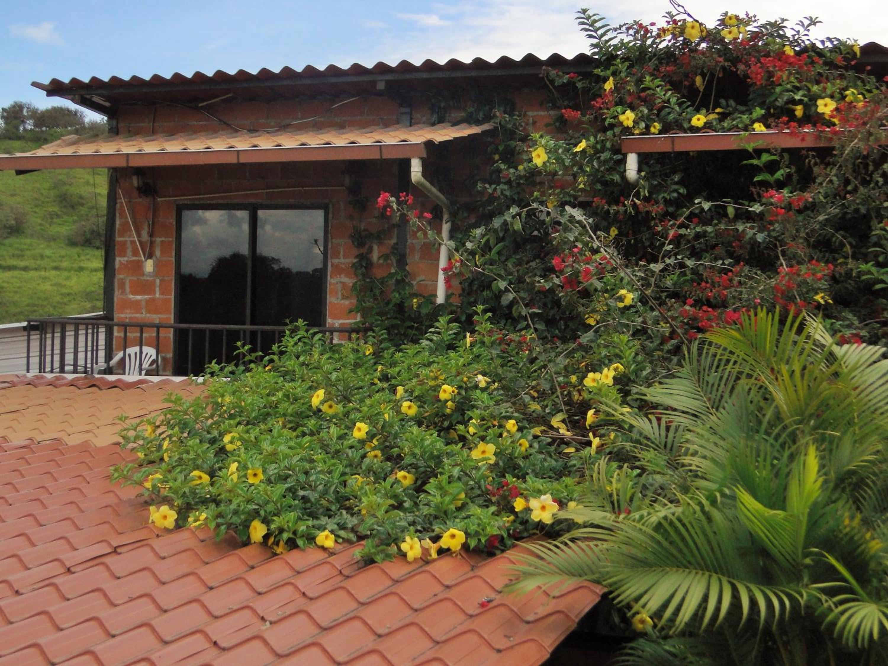 Hosteria Florecer, photo 40
