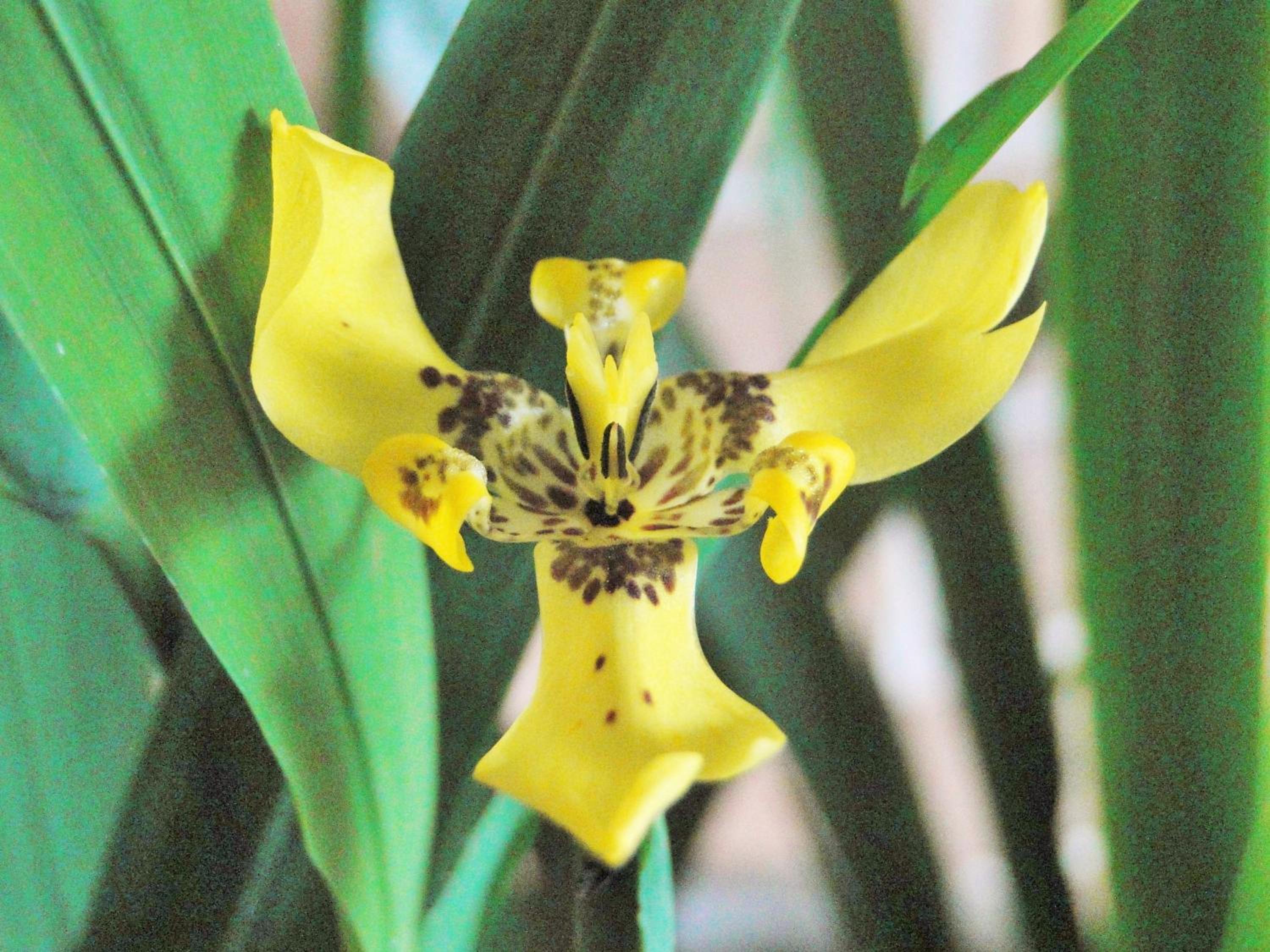 Hosteria Florecer, photo 32
