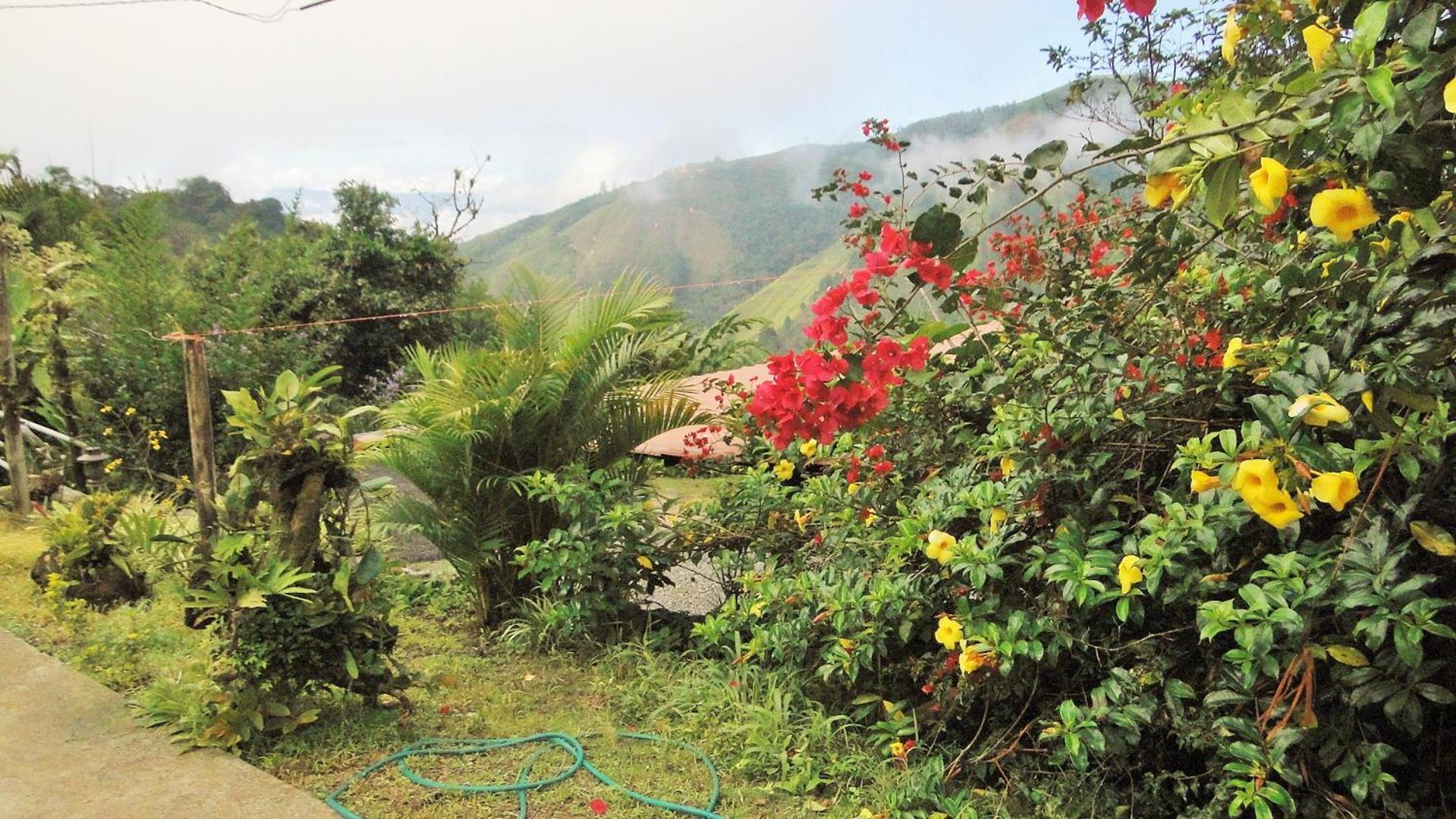 Hosteria Florecer, photo 74