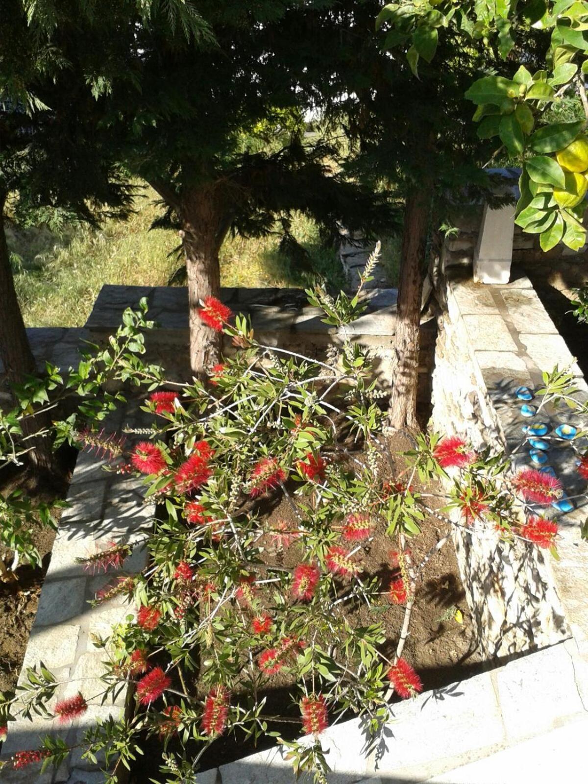 Photo 38