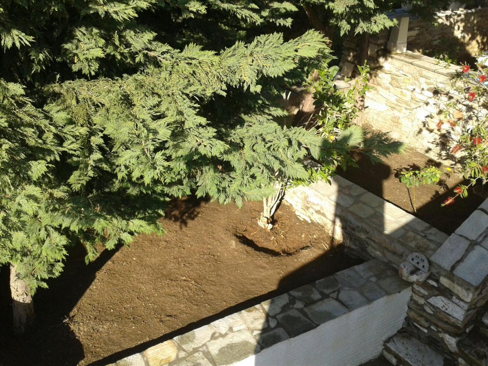 Photo 40