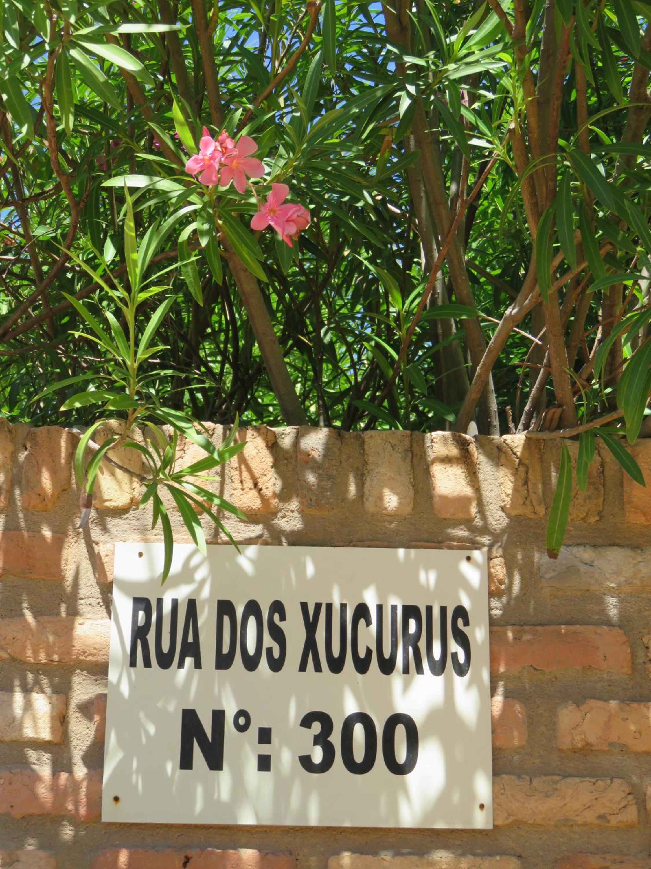 Chacara do Alemao