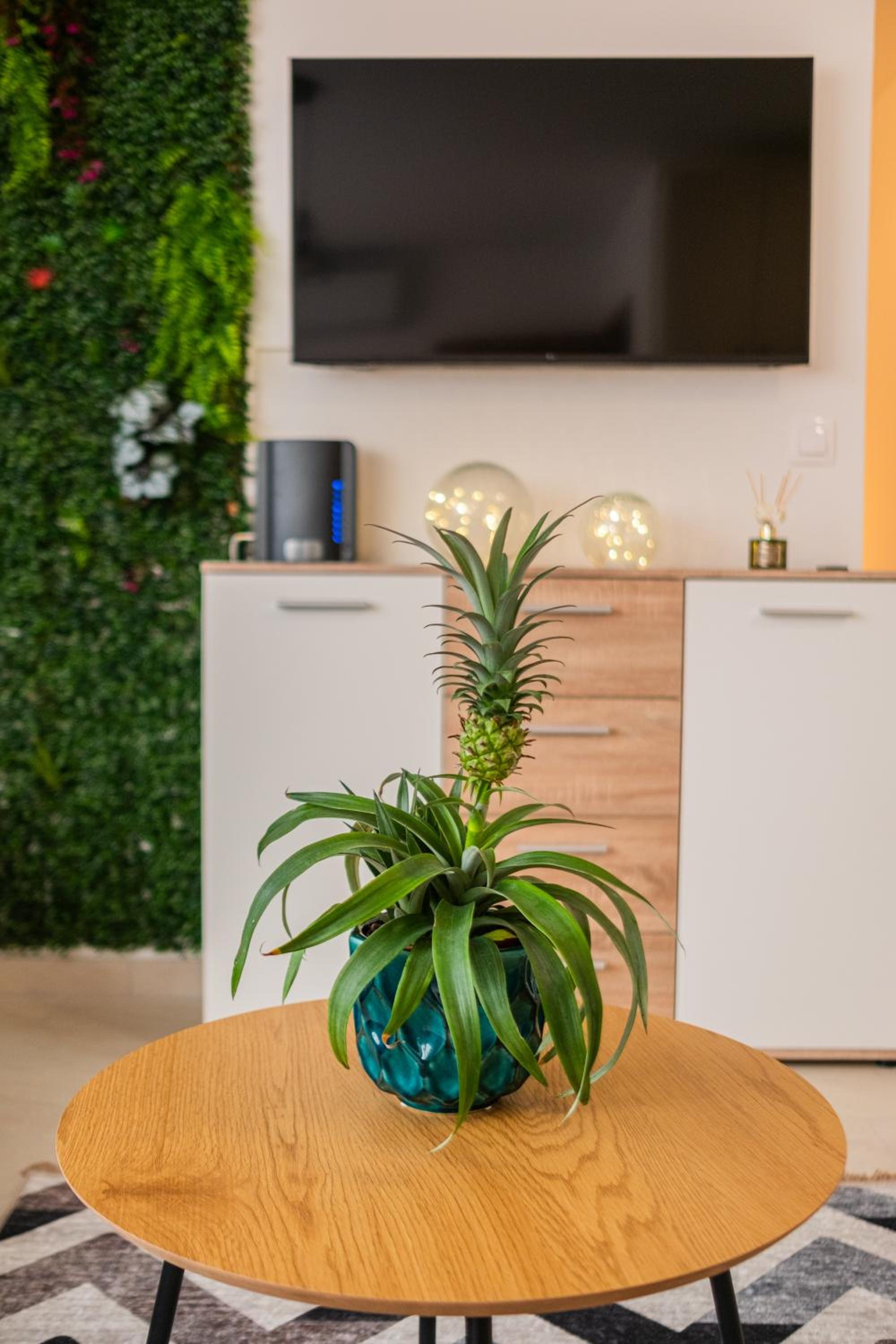 ARKSIS Apartman