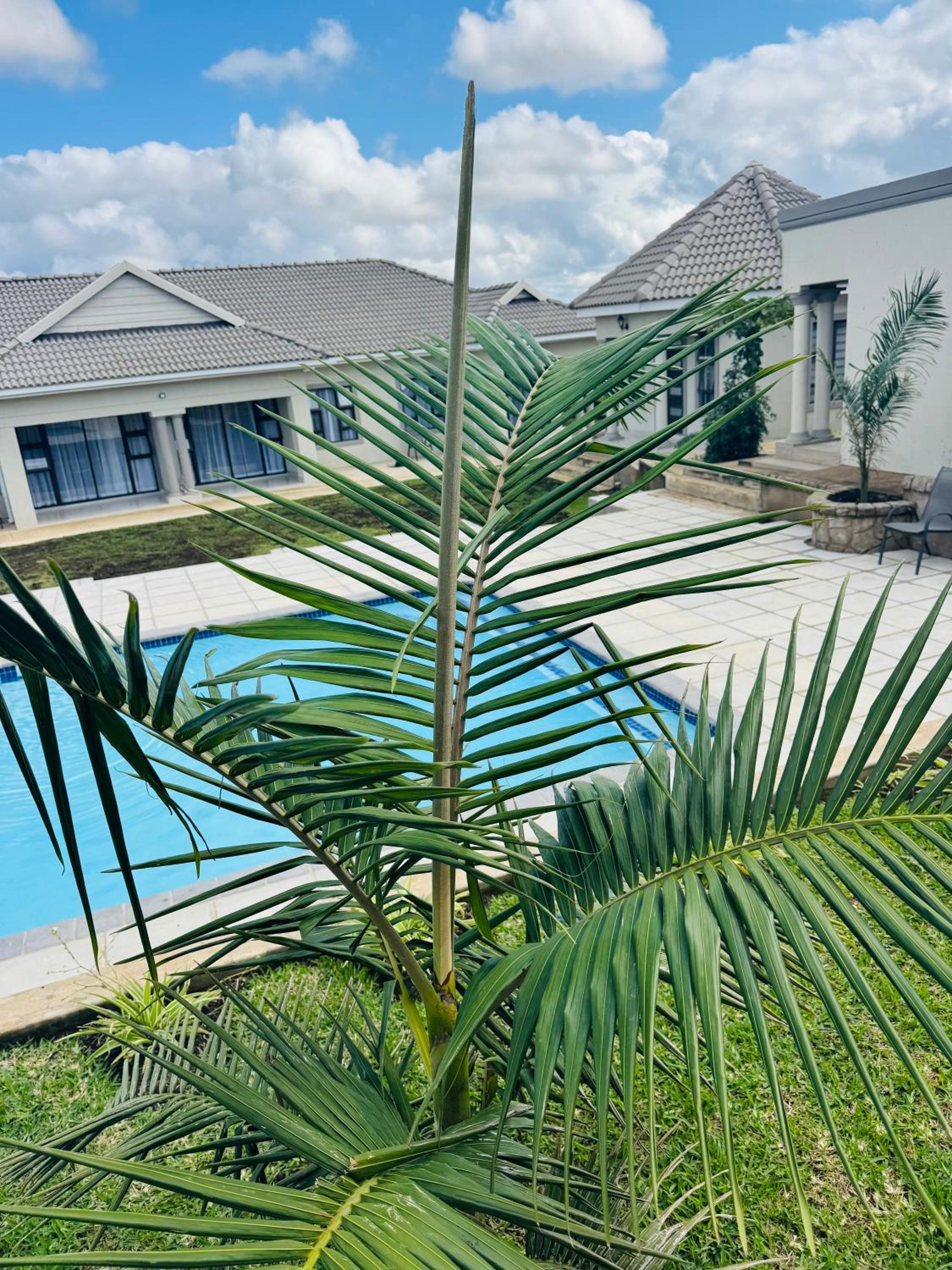 WeMvula Guesthouse