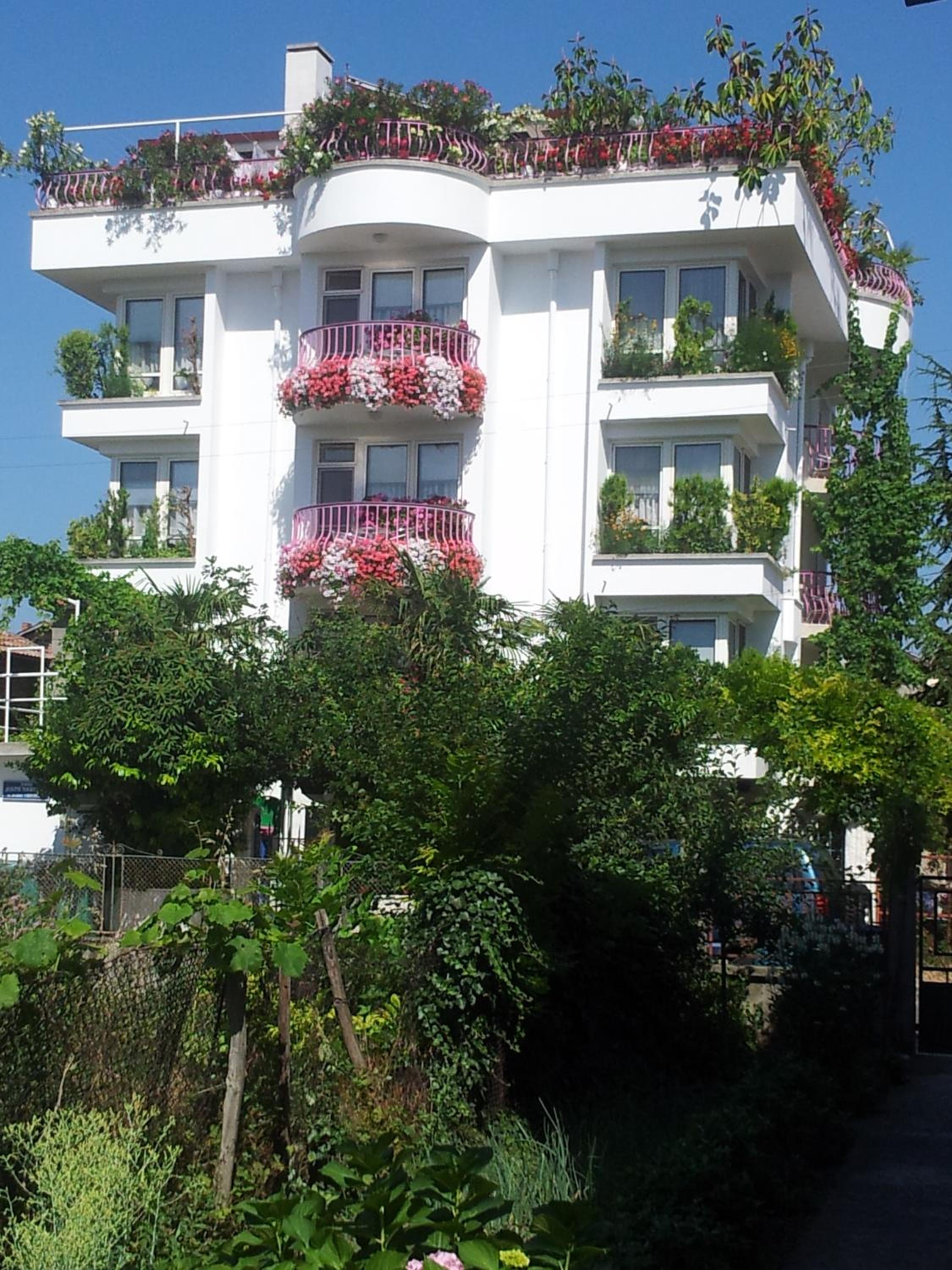 Guesthouse JANA