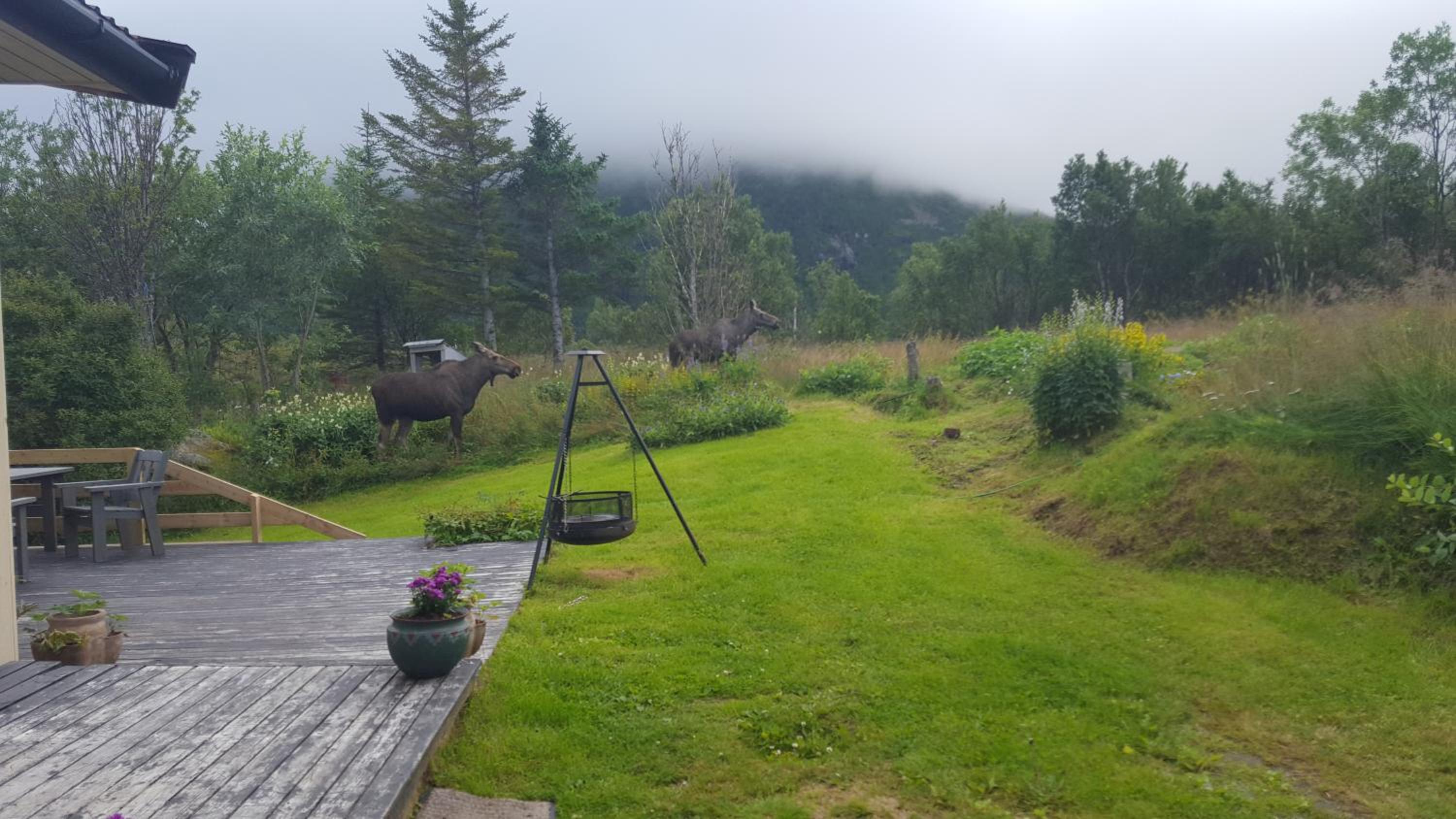 Holiday Home Lofoten view 5