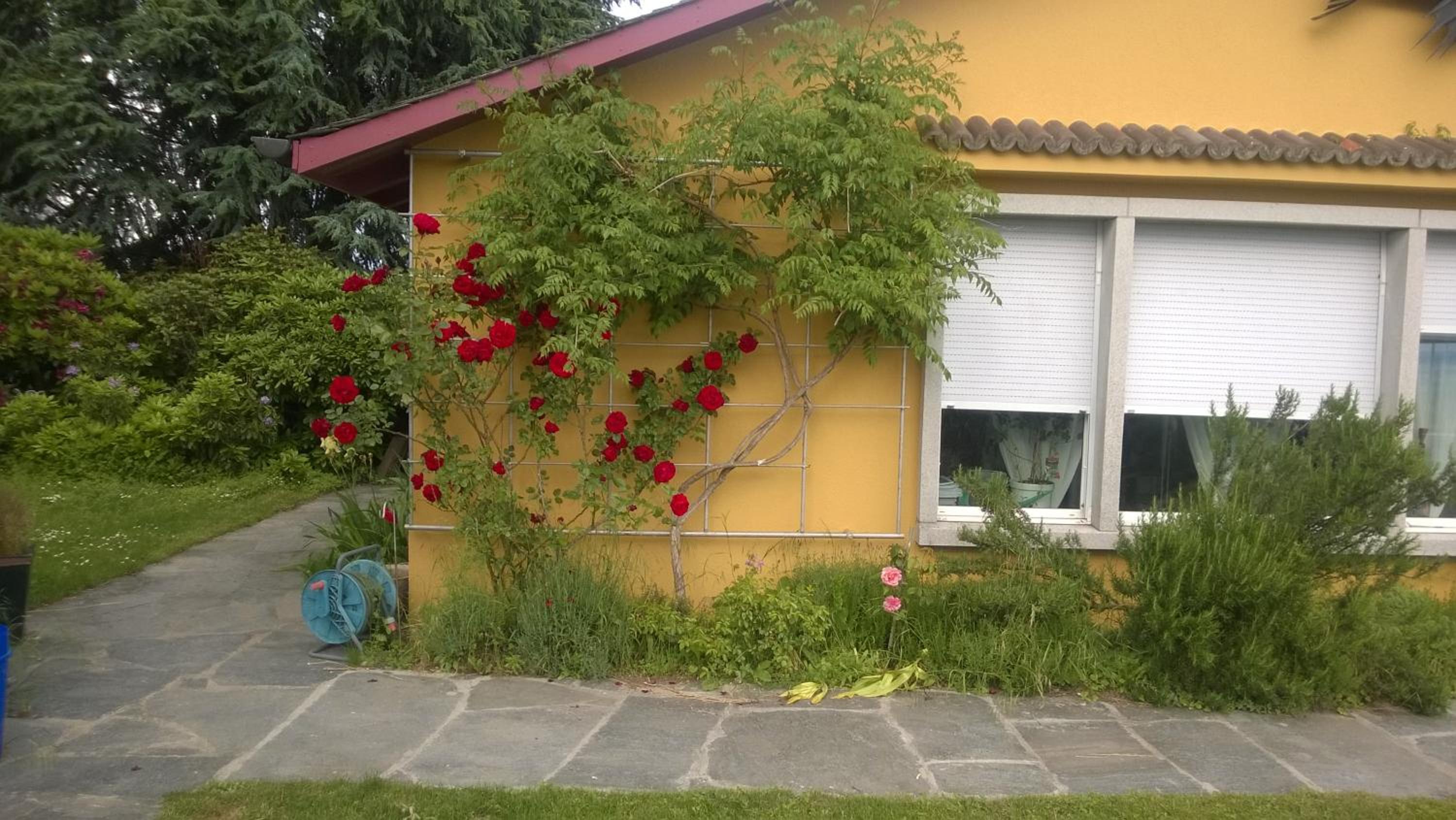 Swiss Borzoi House