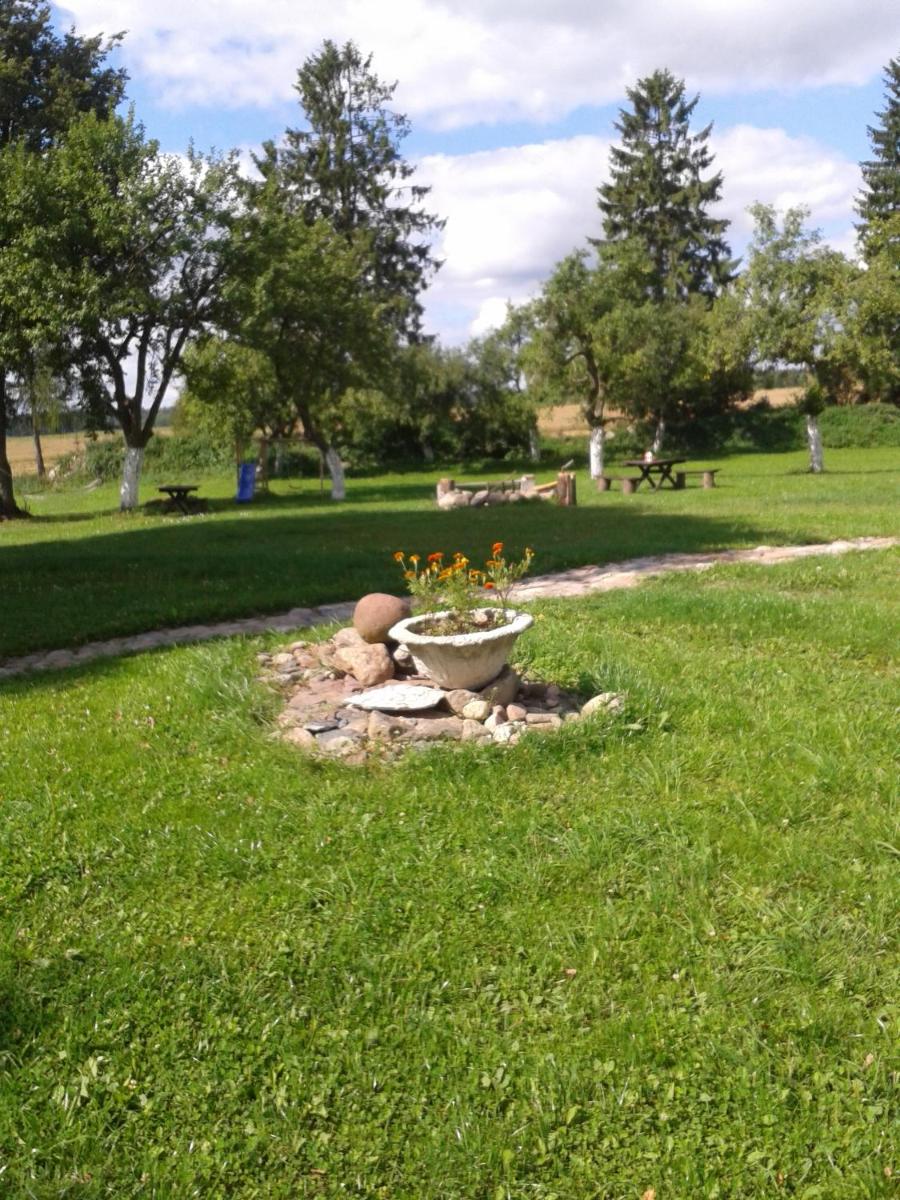 Photo 25