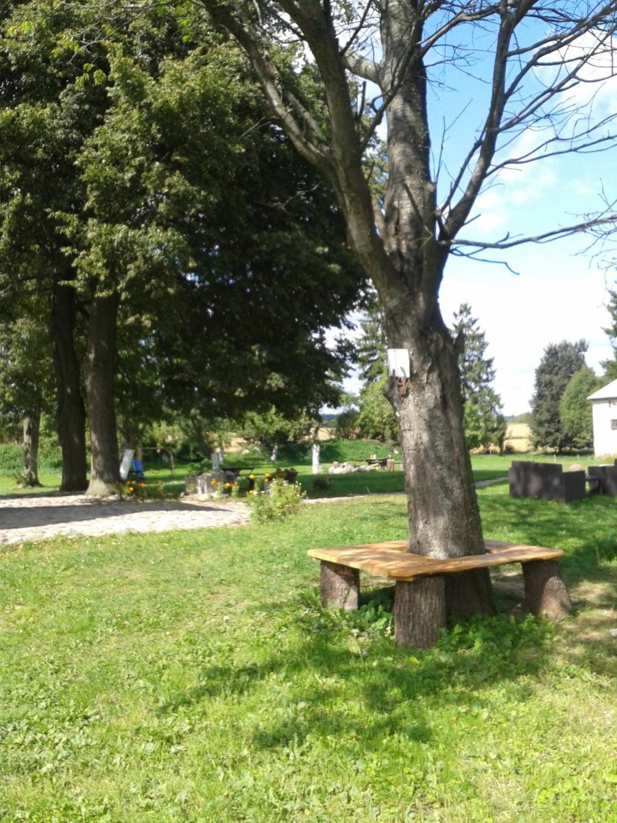 Photo 19