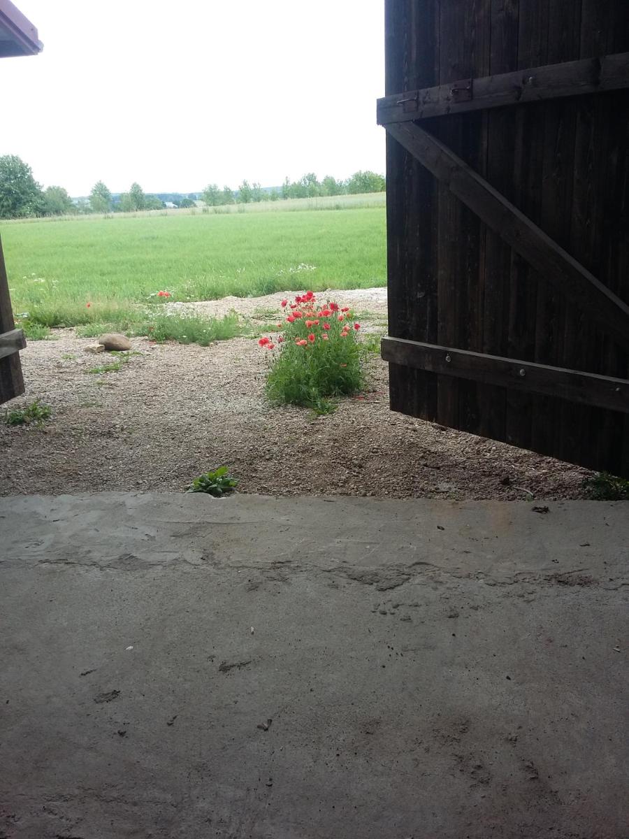 Photo 27