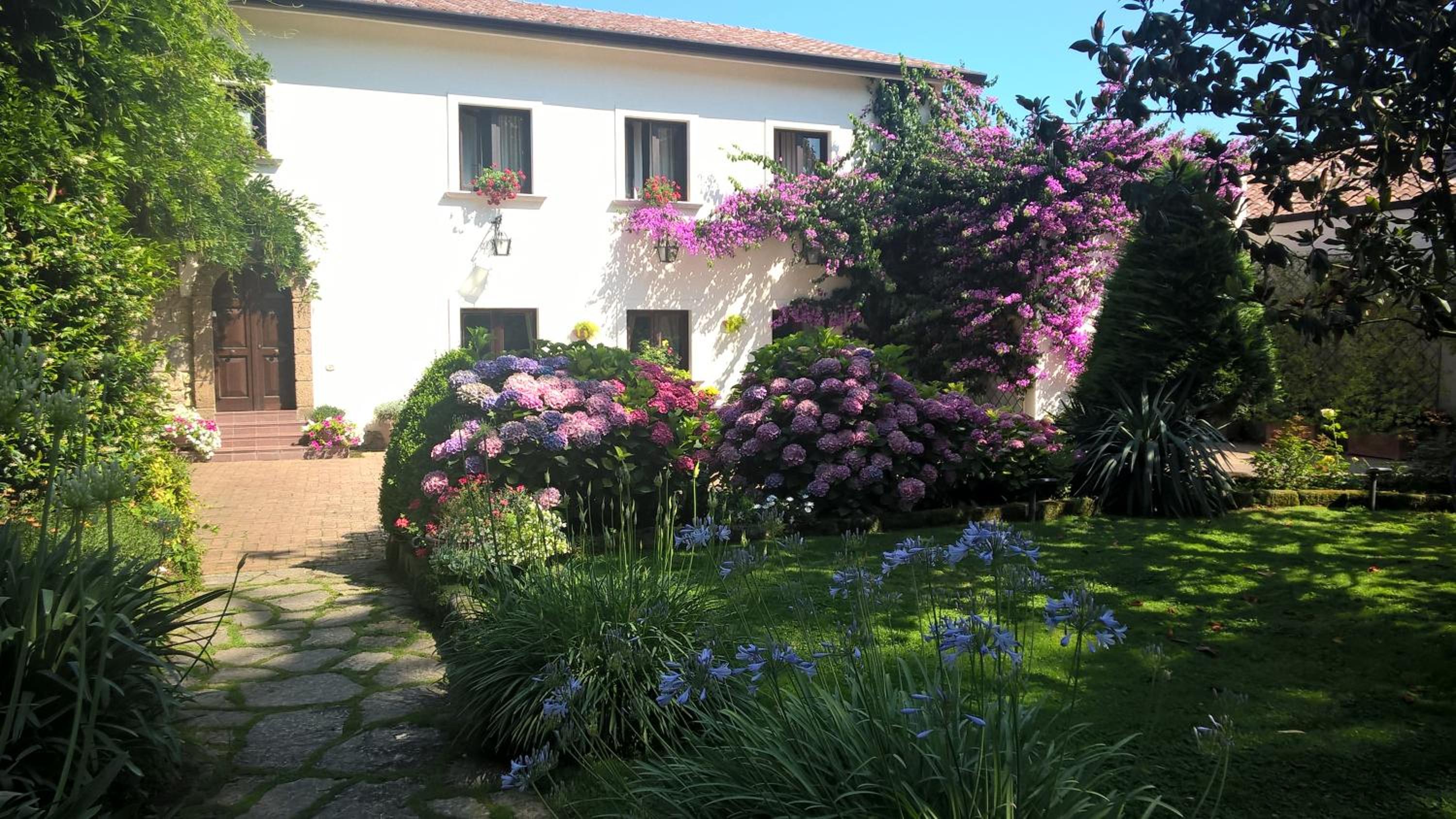 Photo 25