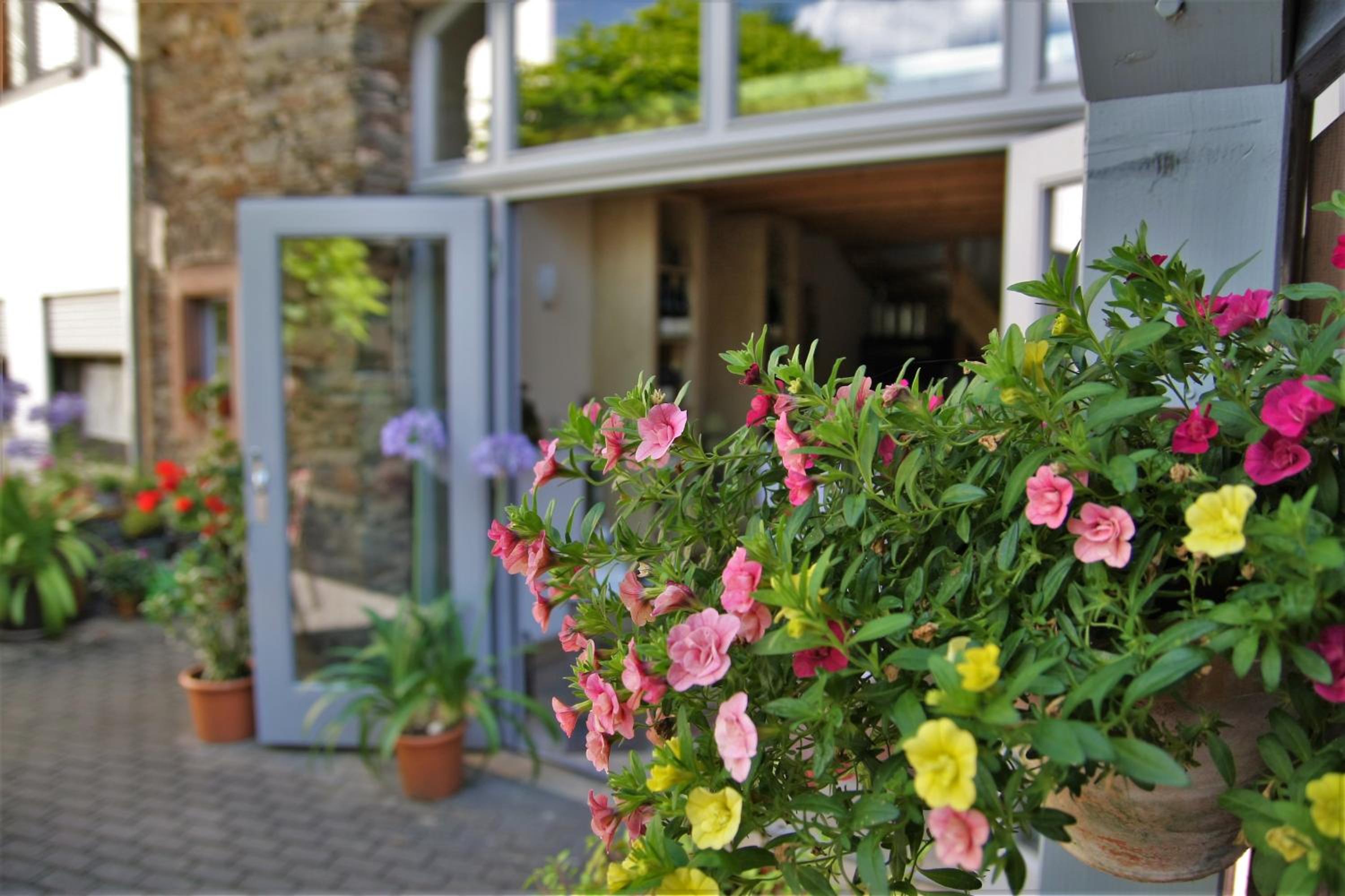 Moselurlaub im Ferienweinhaus Koch