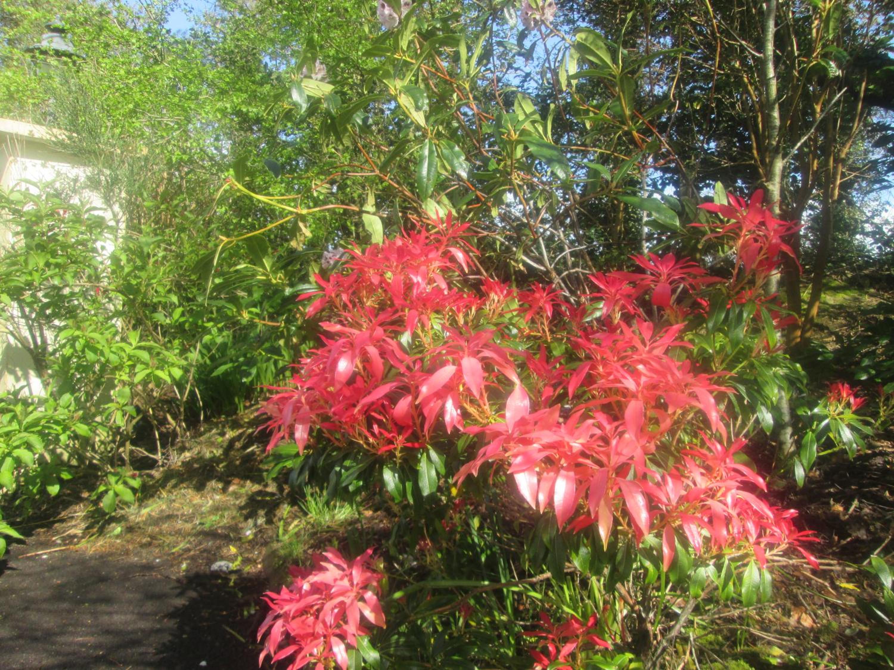 Ard na Greine Bed & Breakfast Ballylickey view 4