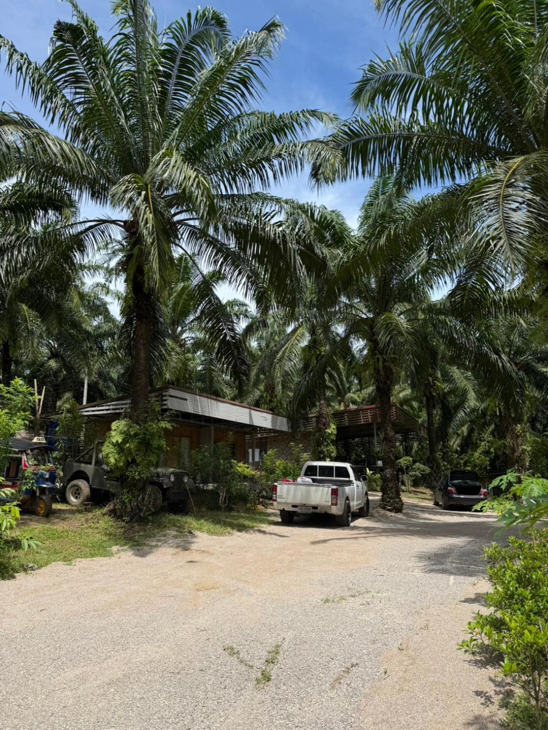 Lak Kao Nai Resort หลักเก้า ไนท์ รีสอร์ท