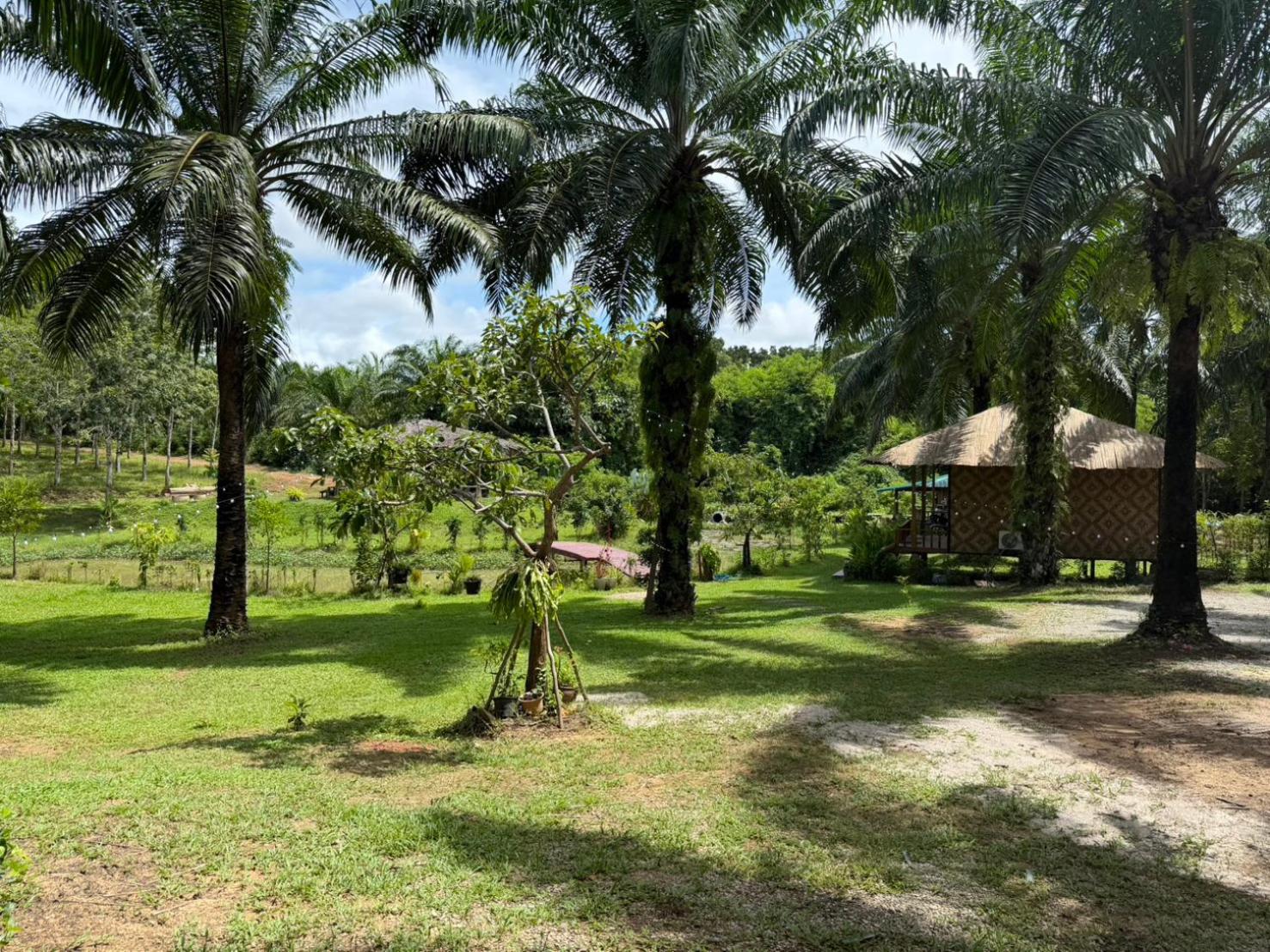 Lak Kao Nai Resort หลักเก้า ไนท์ รีสอร์ท