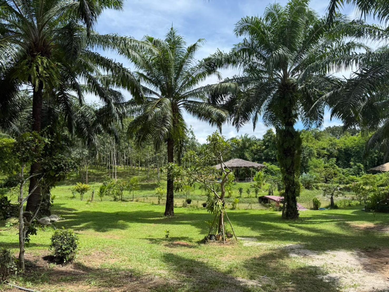 Lak Kao Nai Resort หลักเก้า ไนท์ รีสอร์ท