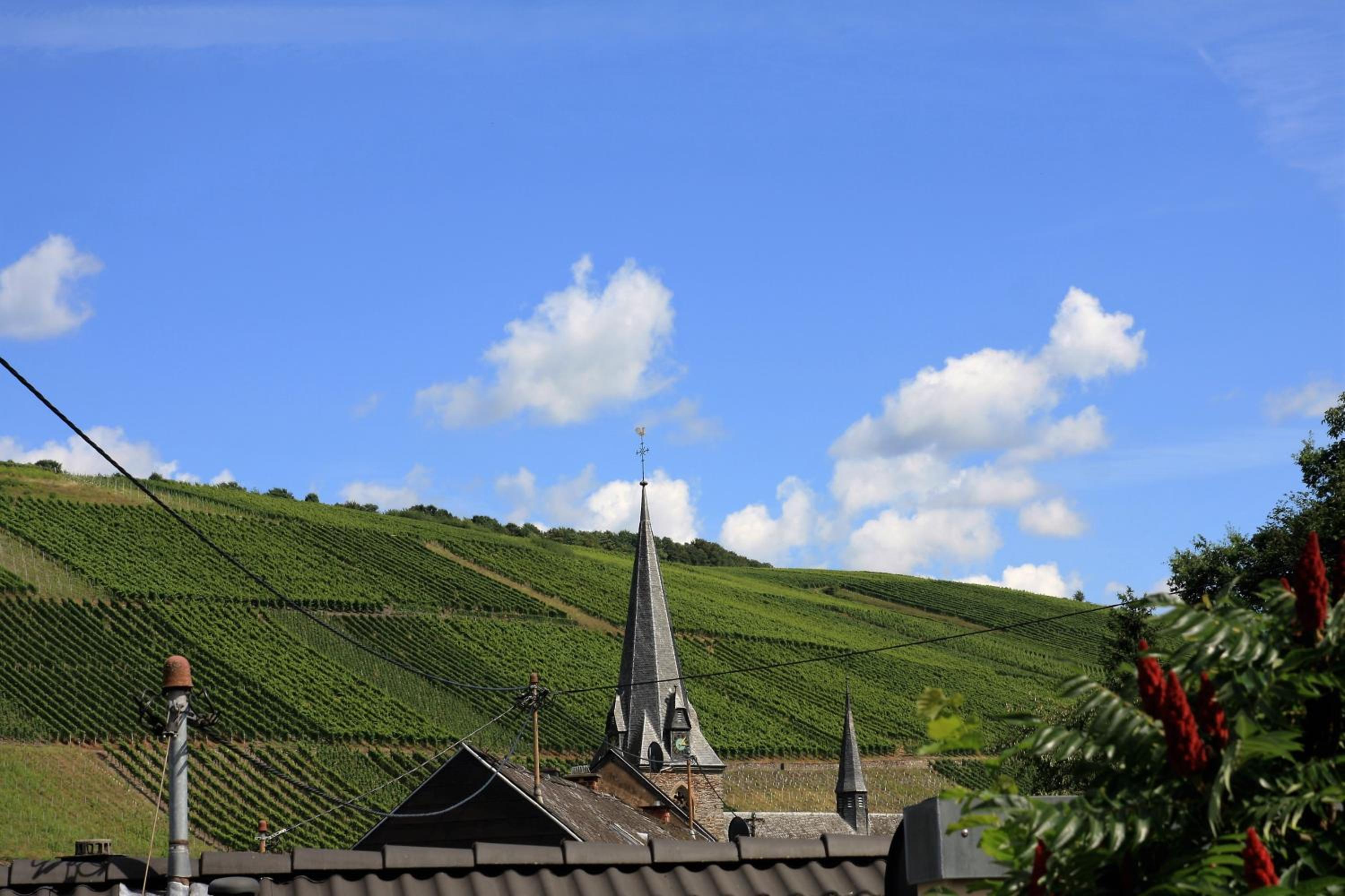 Moselurlaub im Ferienweinhaus Koch