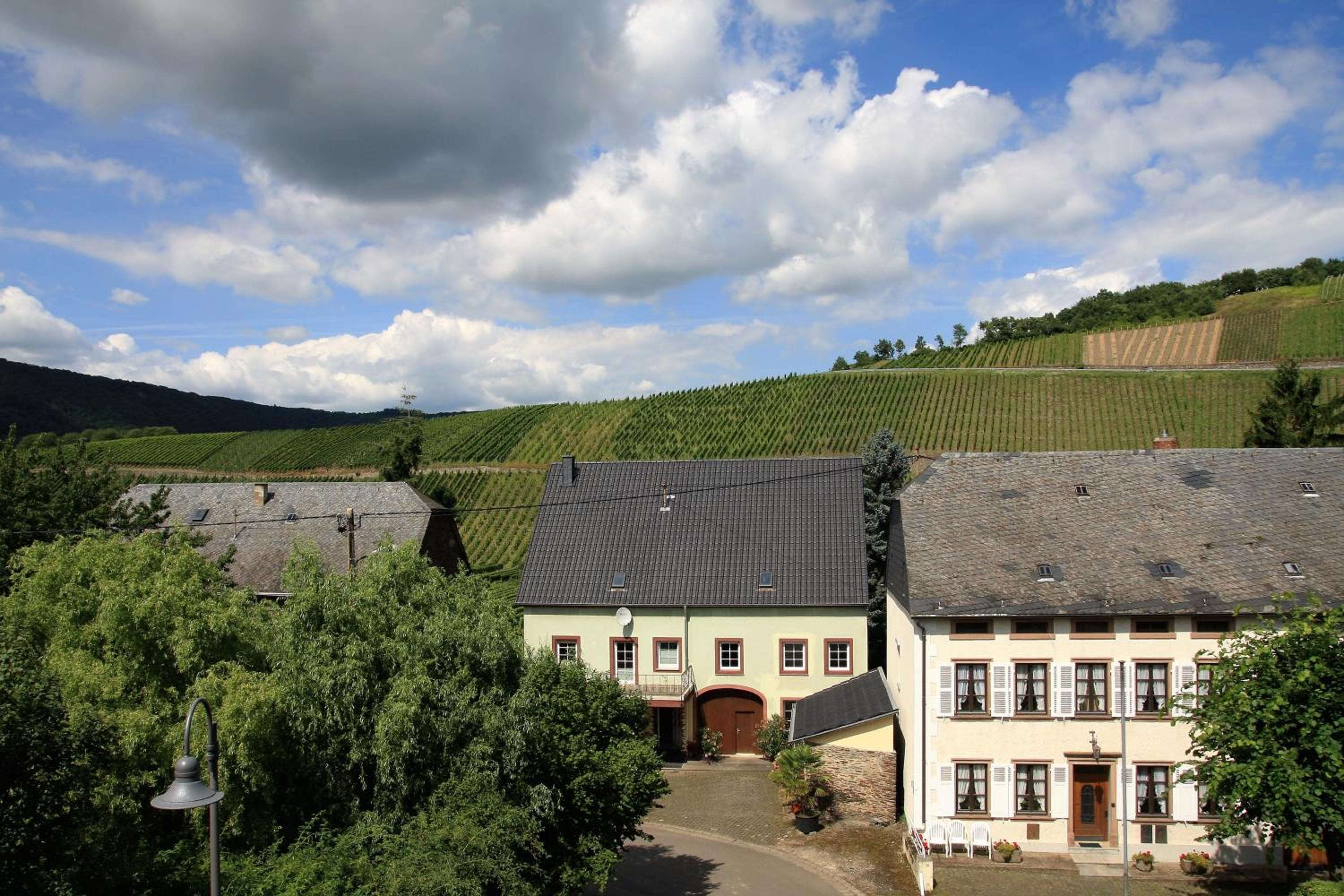 Moselurlaub im Ferienweinhaus Koch
