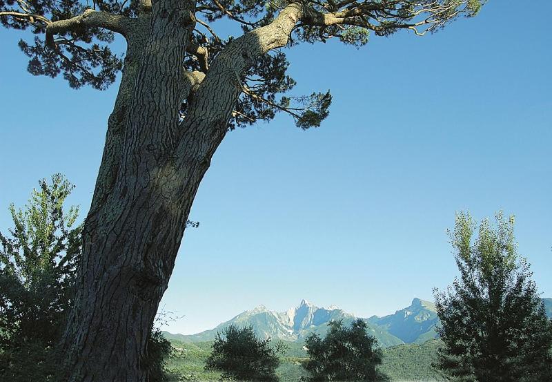 Podere La Piana