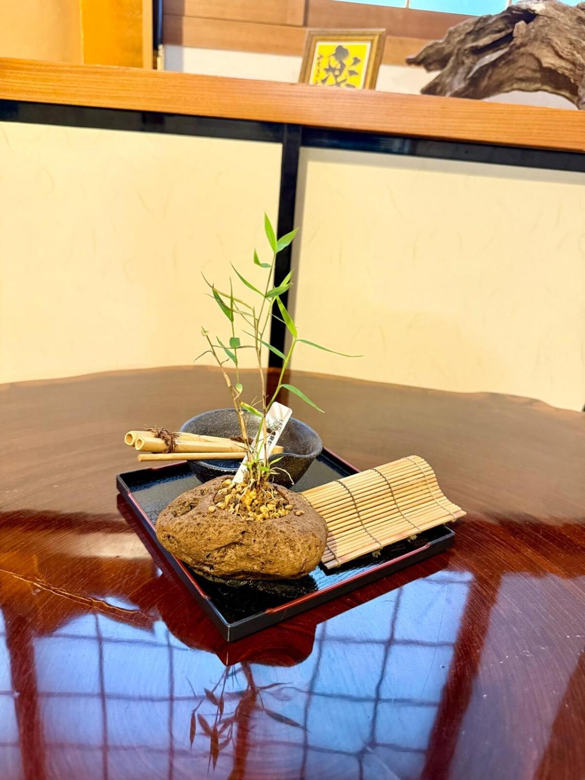 Ume-no-Yado Villa 梅の宿 - A house with a traditional Japanese garden