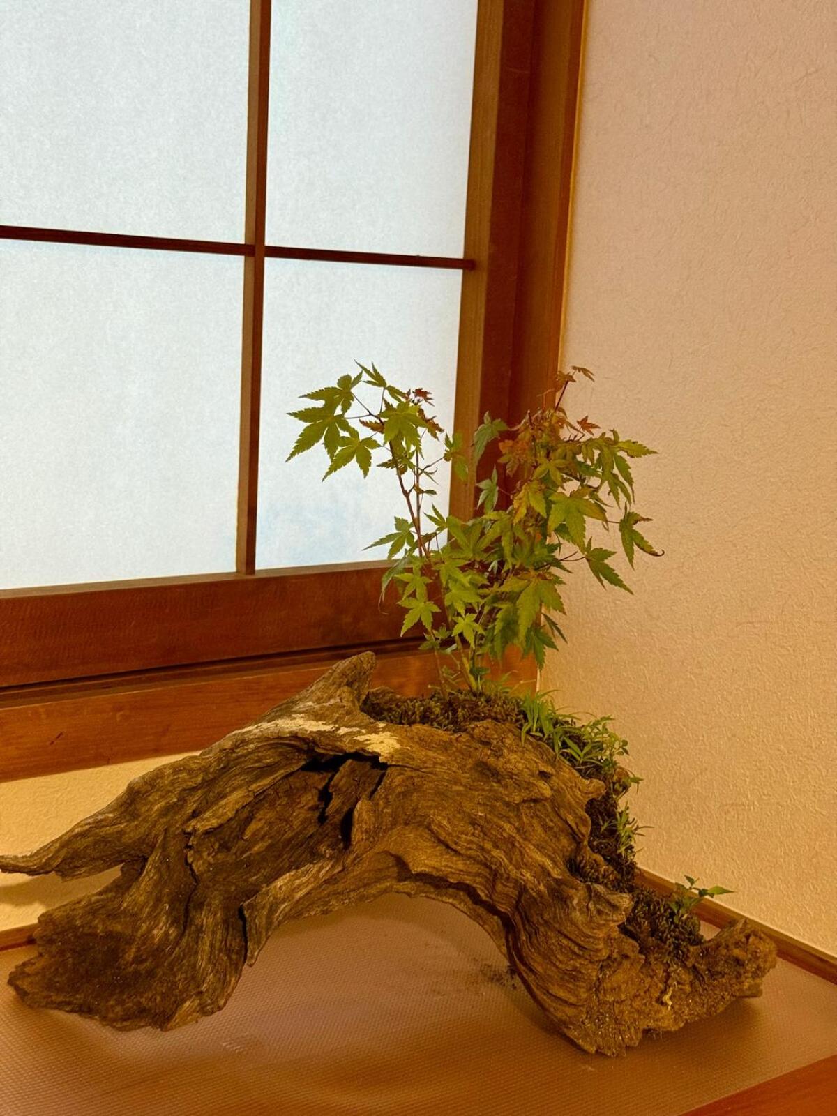 Ume-no-Yado Villa 梅の宿 - A house with a traditional Japanese garden