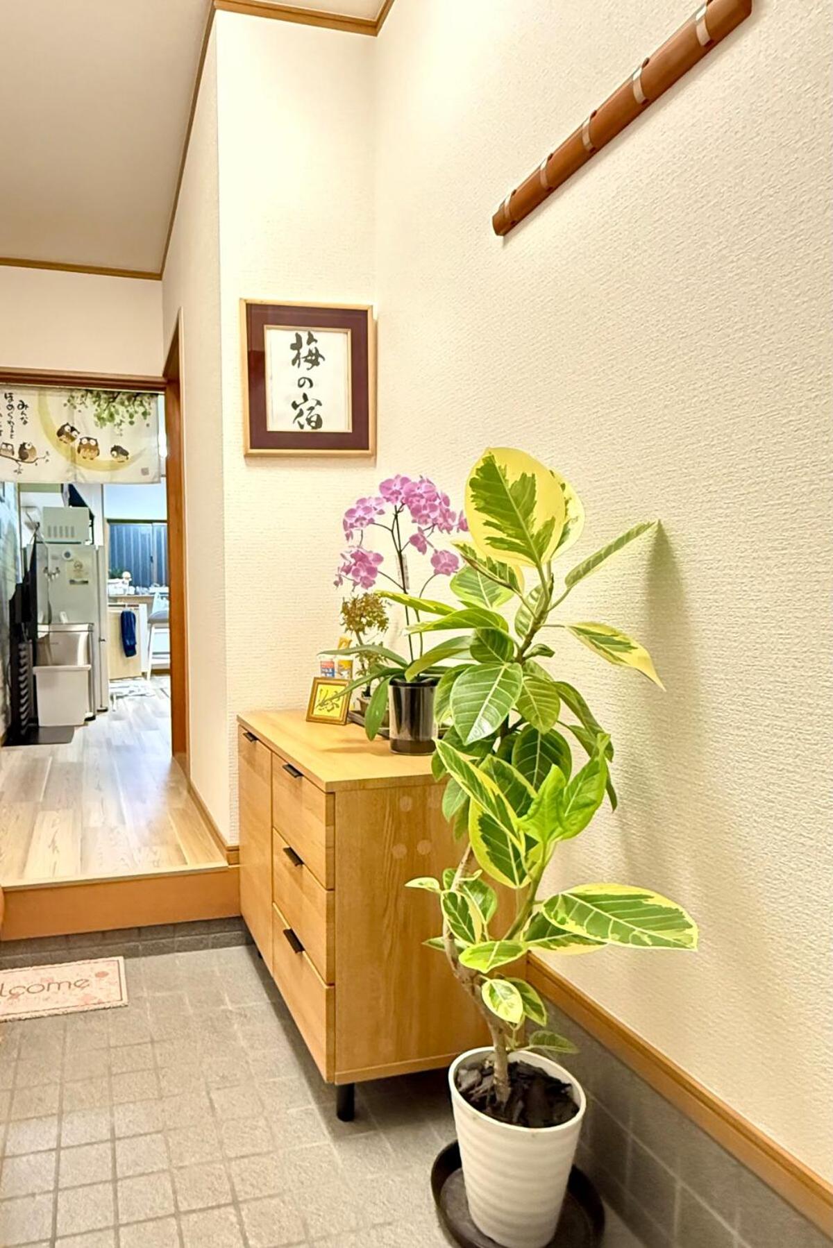 Ume-no-Yado Villa 梅の宿 - A house with a traditional Japanese garden