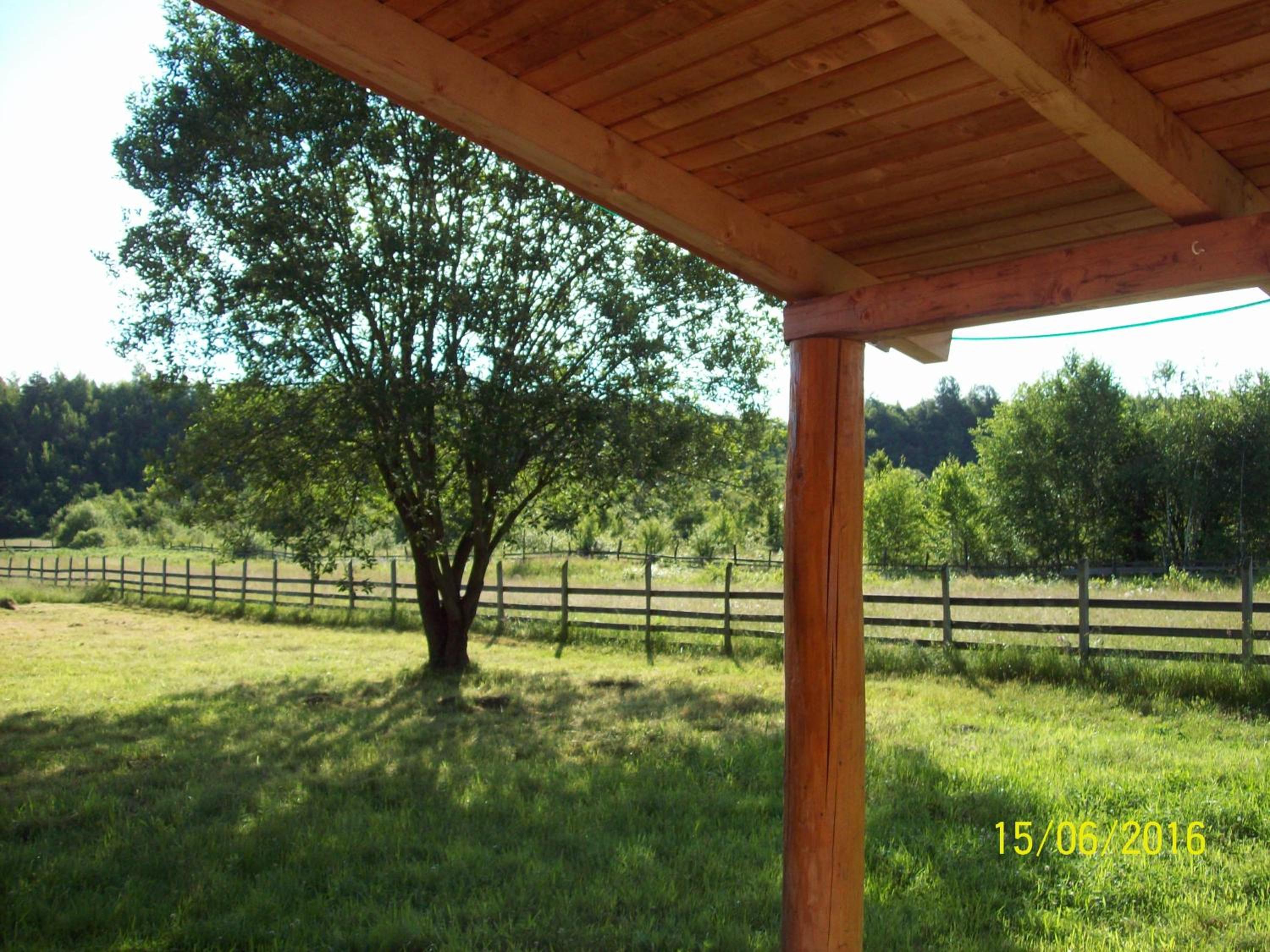Photo 32